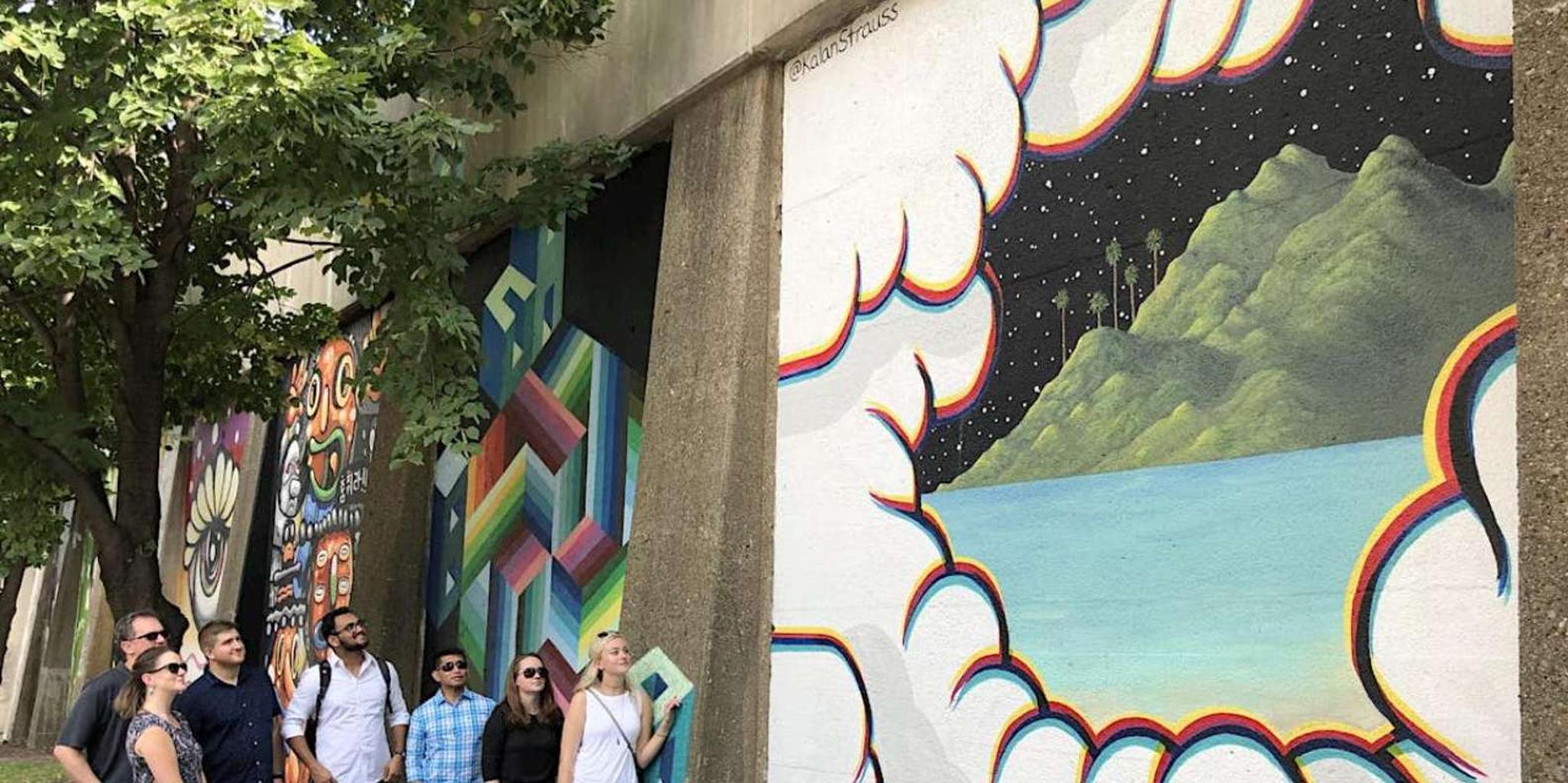 Chicago Street Art Tour in West Town 1.5 hr - Image 3