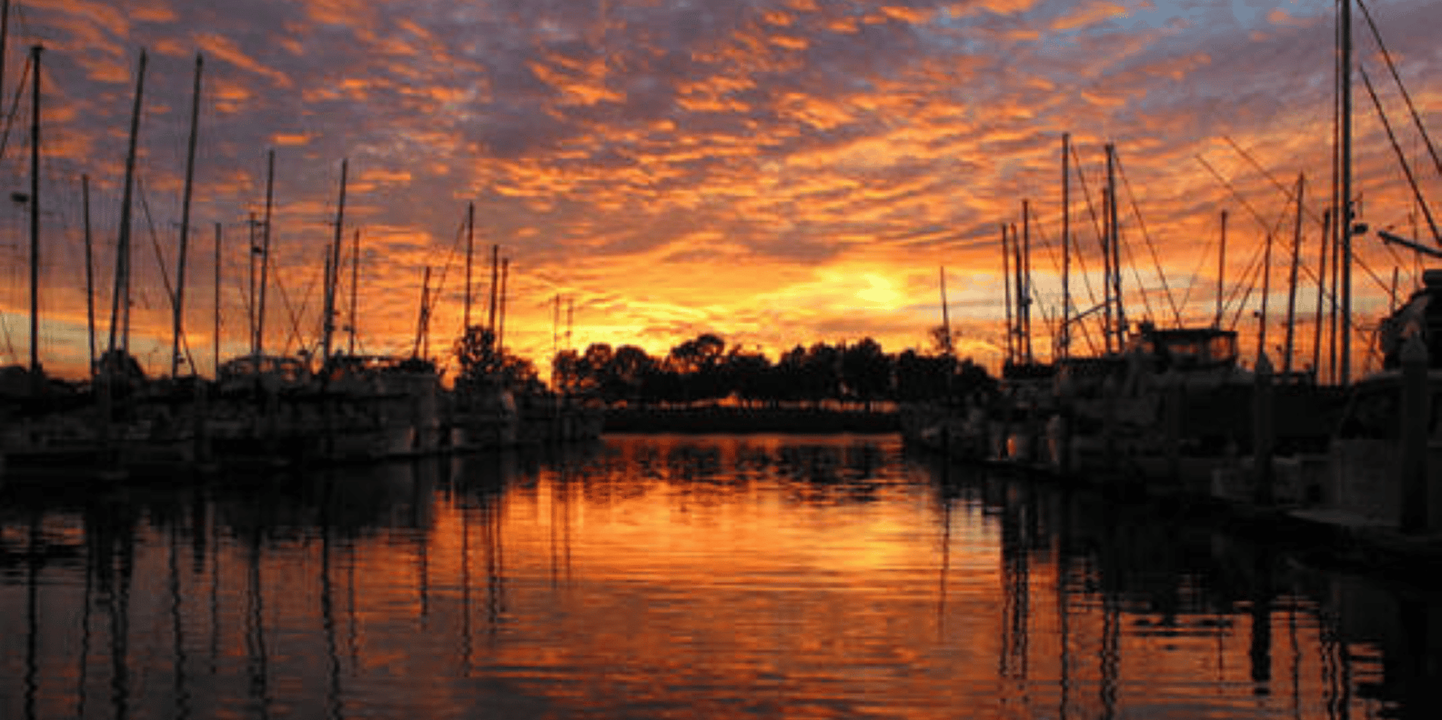 San Diego Harbor Sunset Cruise - Image 4