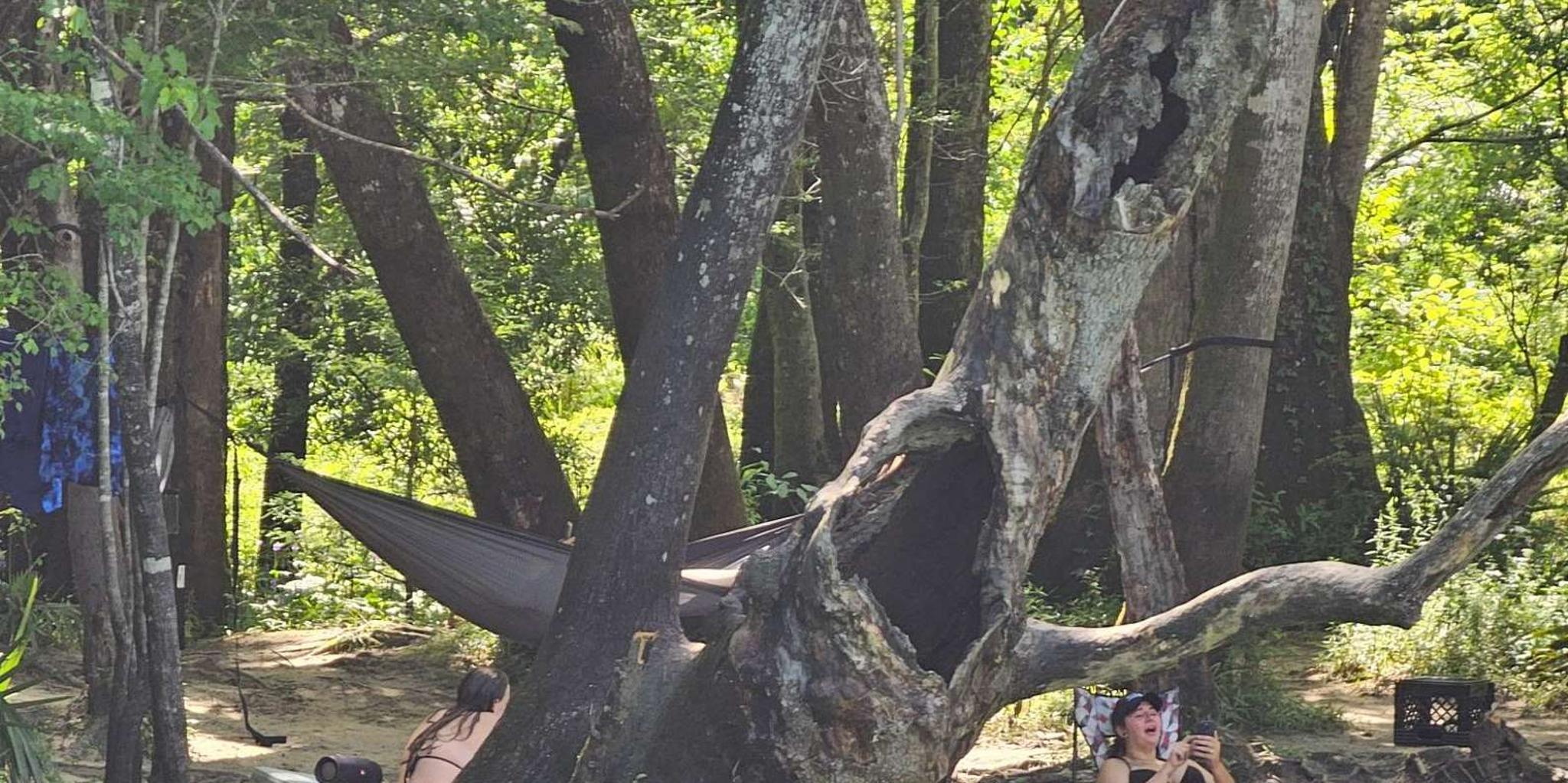 Panama City Beach Cypress Springs Kayak & Paddle Tour - Image 3