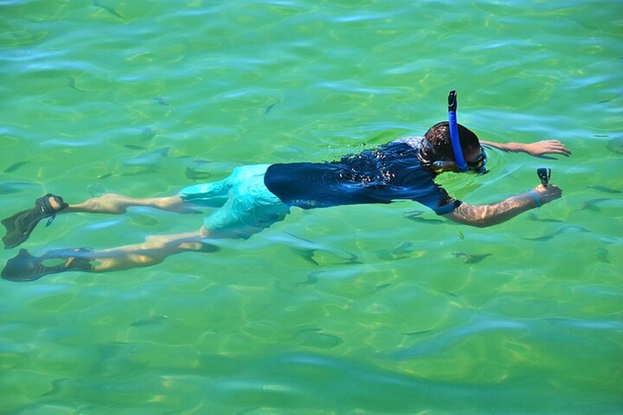 Destin Snorkeling and Shelling Excursion - Image 4
