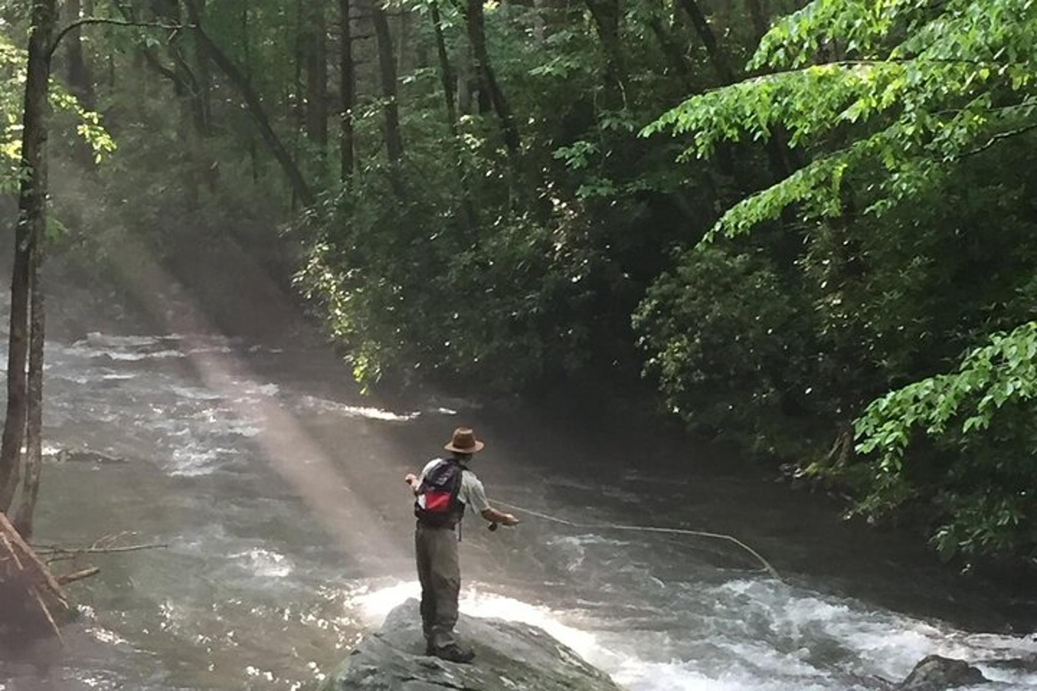 Great Smoky Mountains Fly Fishing Half Day - Image 2