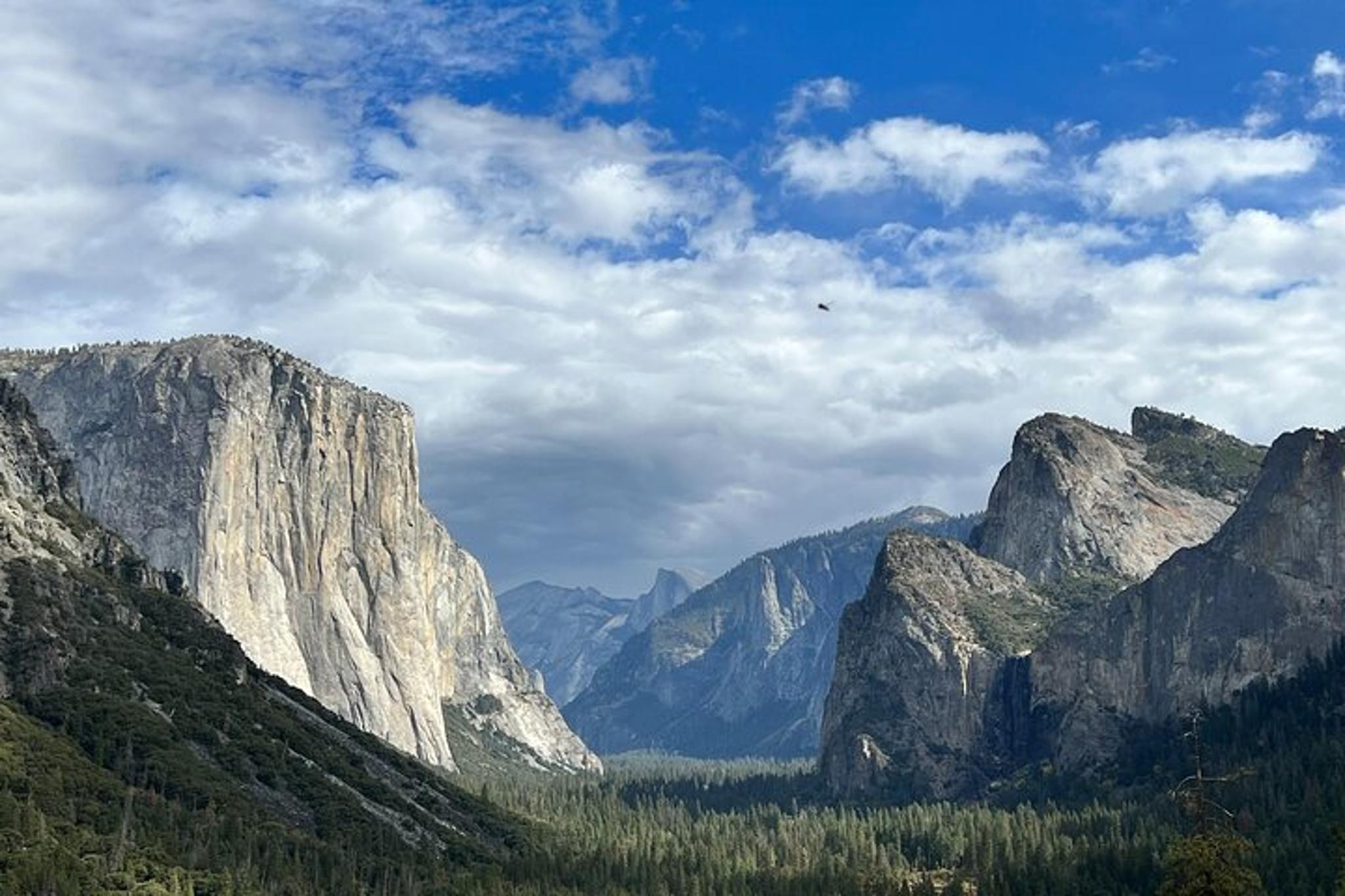 Yosemite Private Tour - Image 2