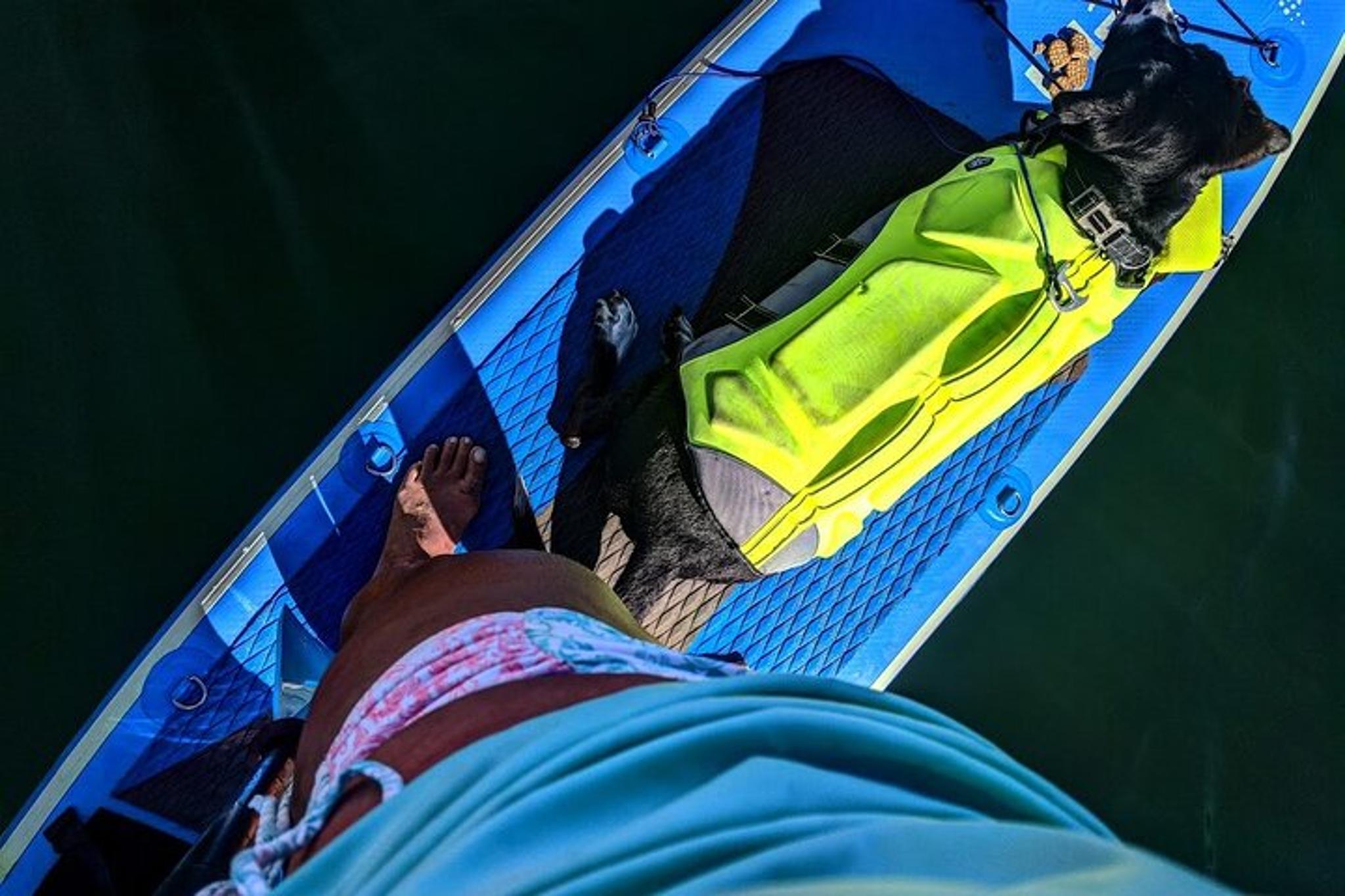 Fayette County Paddle Board Adventure - Image 6