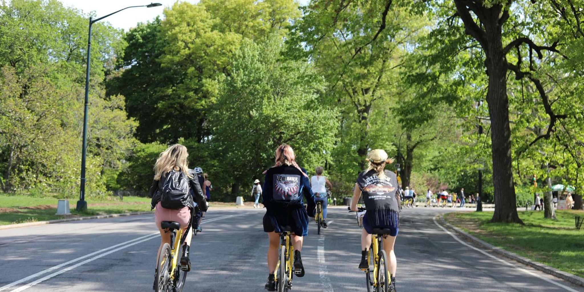 New York City Guided Bike Tour - Image 5