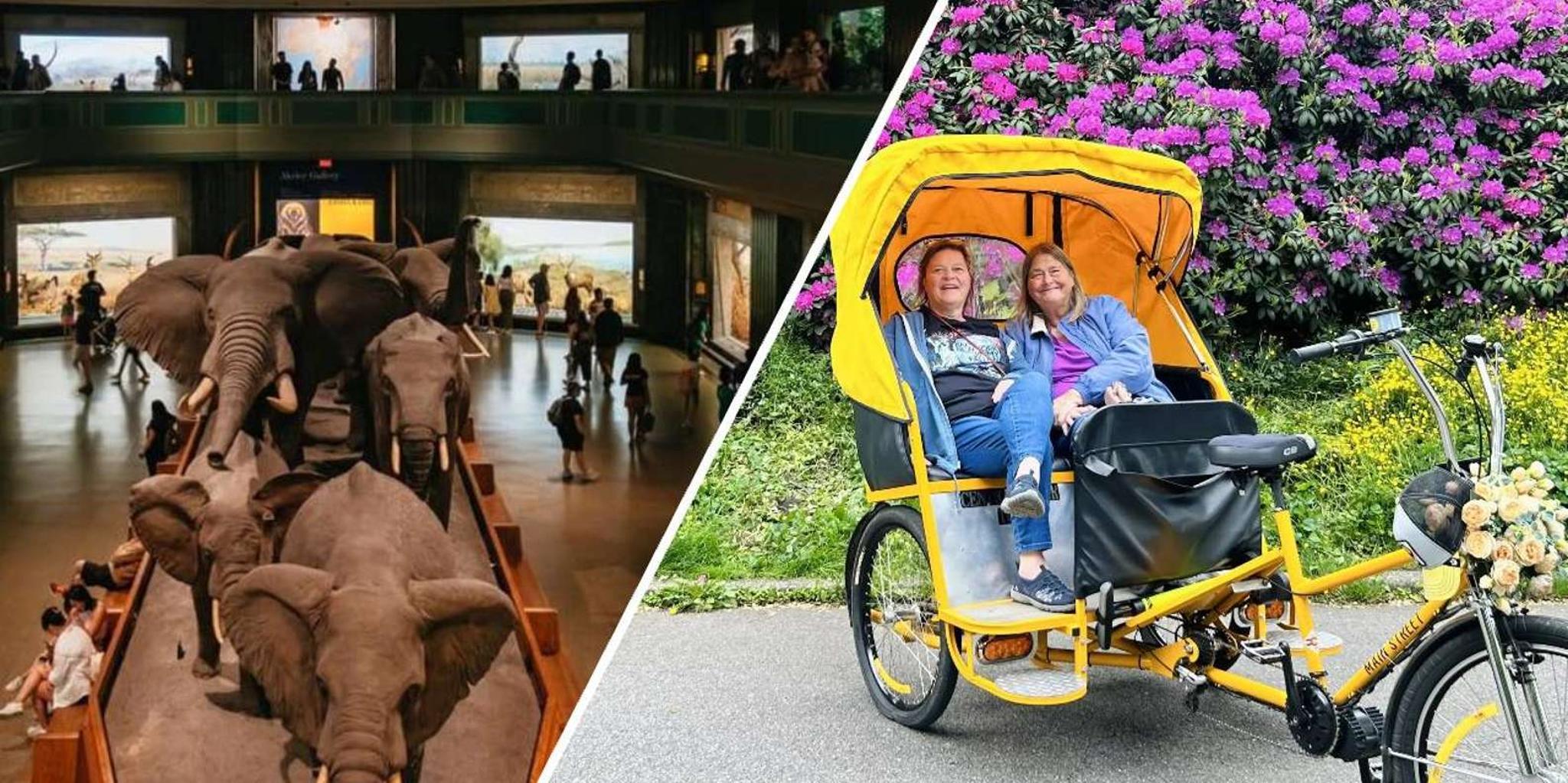 New York Central Park Pedicab Tour with Optional Museum Entry