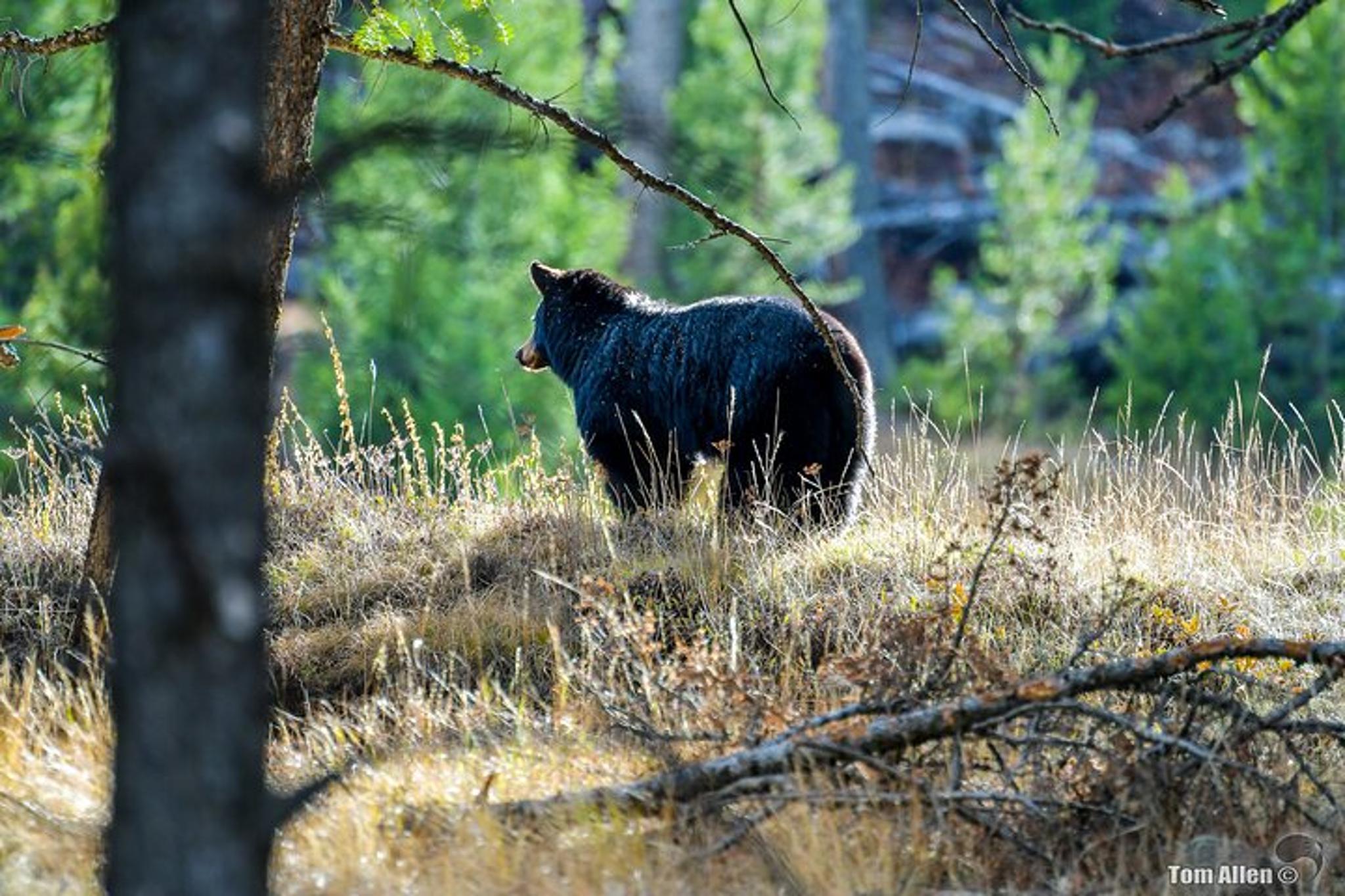 Salt Lake City National Parks Tour 7 Days - Image 5