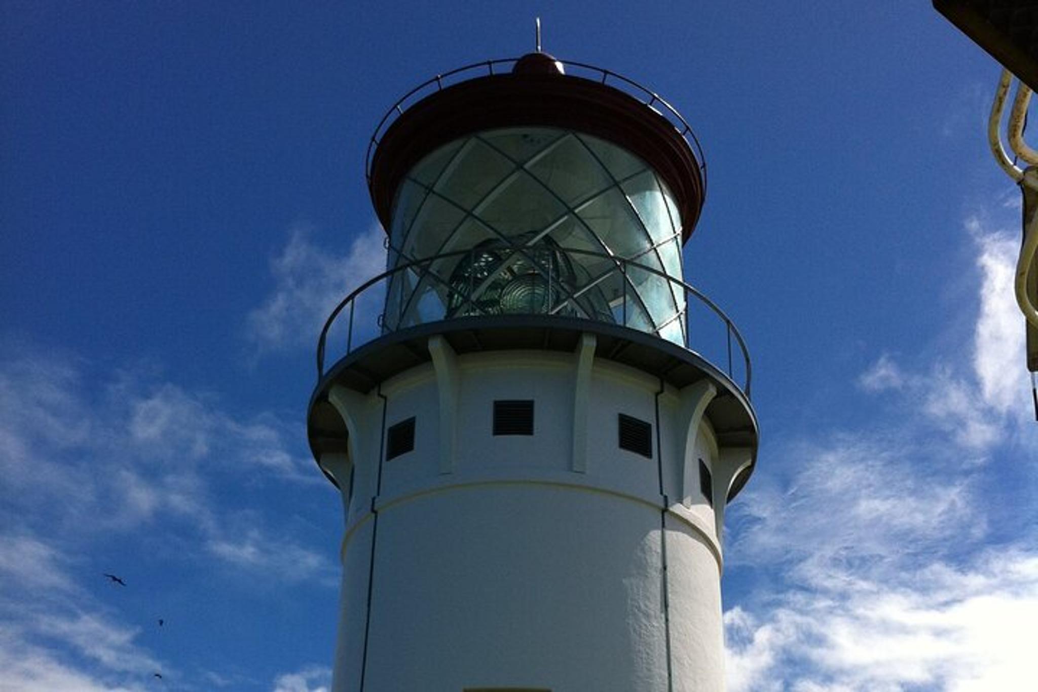 Kauai Fern Grotto River Cruise & Lighthouse Tour - Image 6
