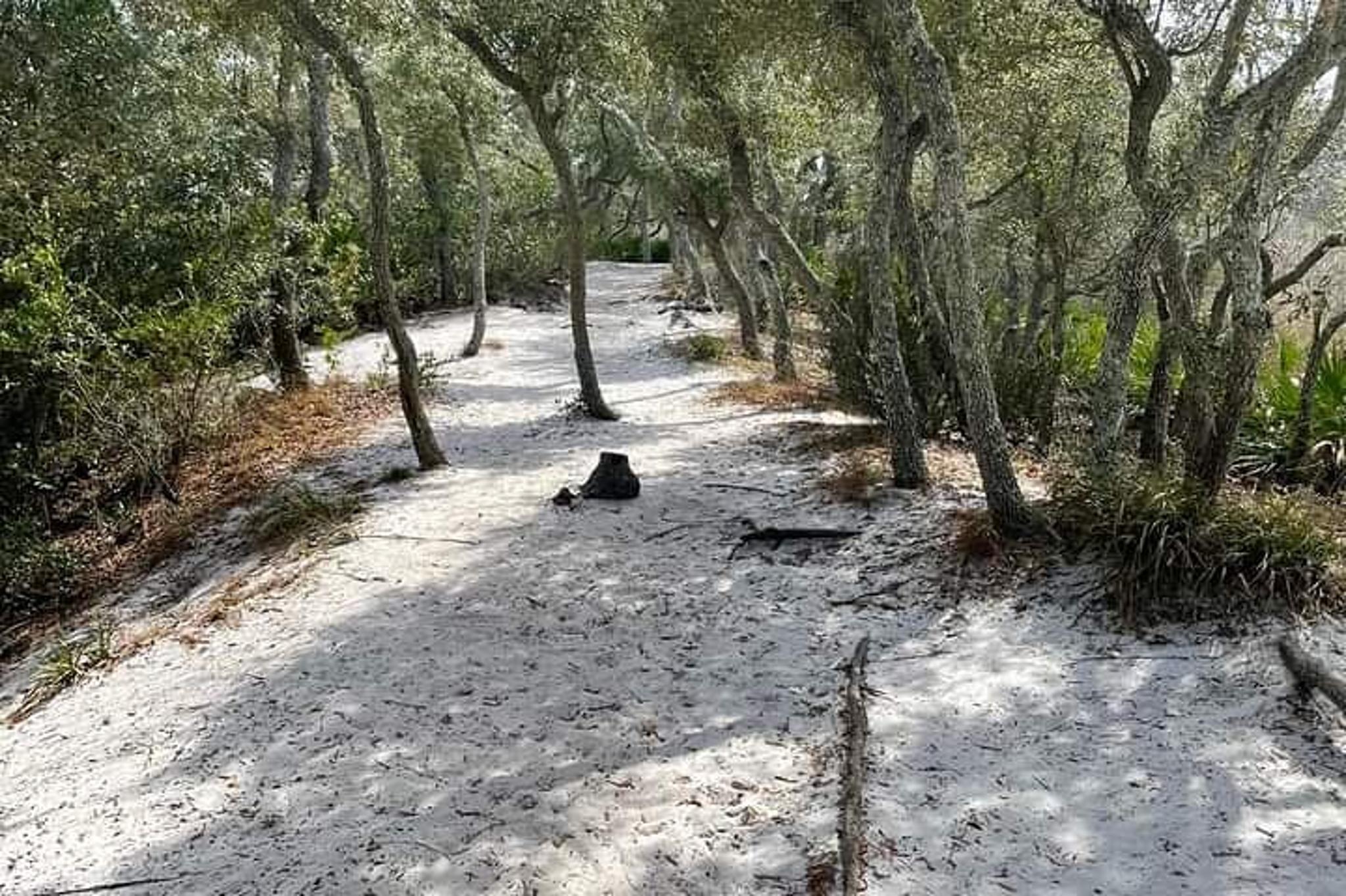 Florida Backcountry Camping Adventure - Image 5