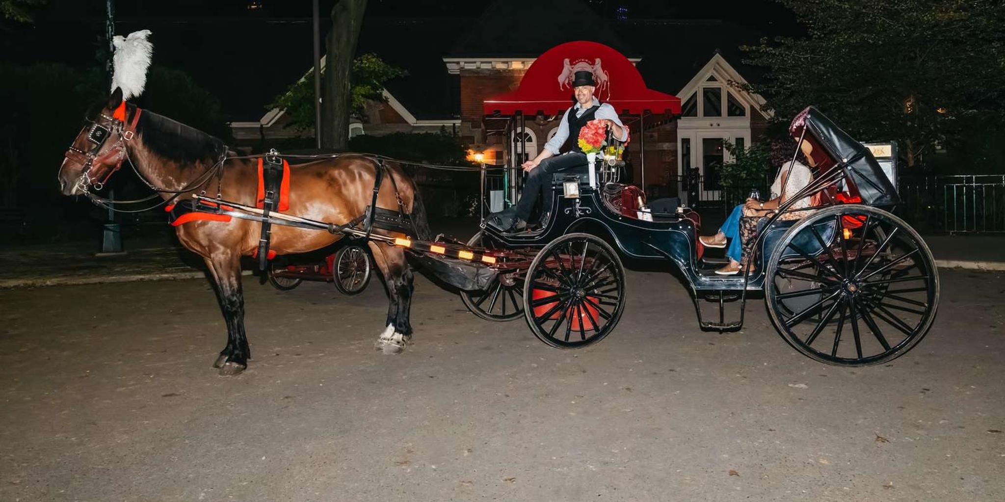 New York City Central Park Moonlight Horse Carriage Ride - Image 5