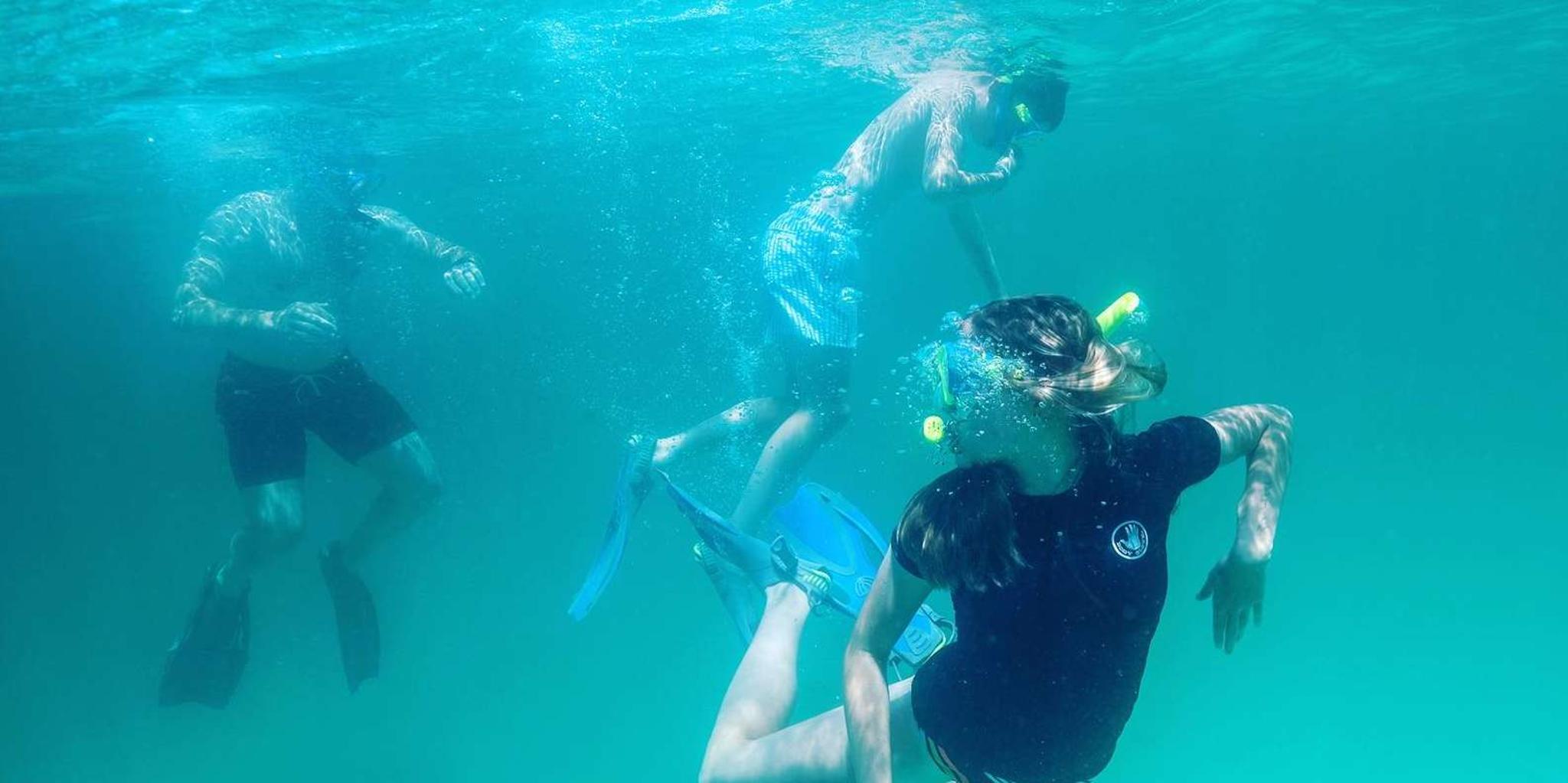 Destin Snorkeling and Dolphin Cruise - Image 2