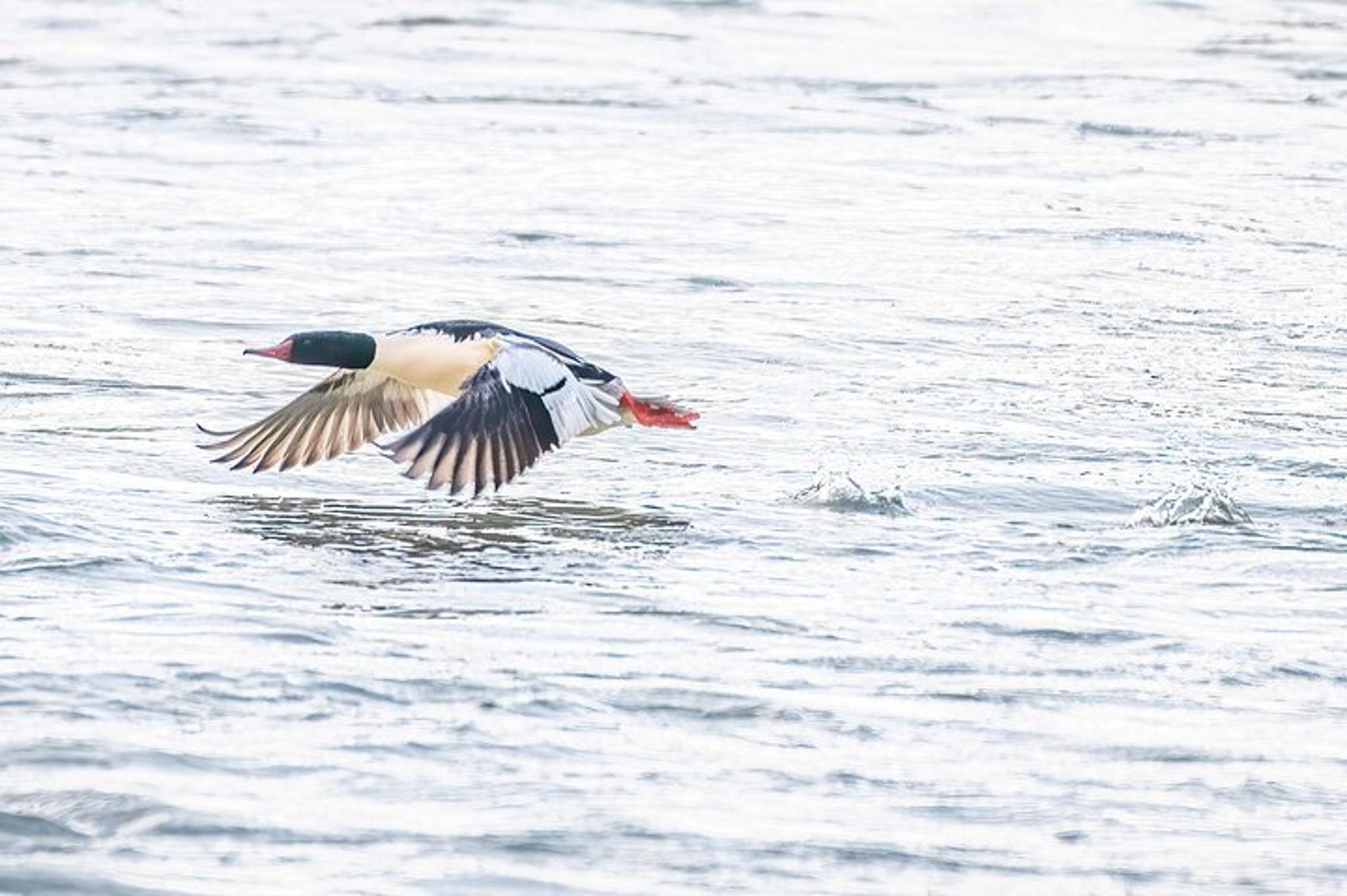 Fairbanks Photography Workshop - Image 5
