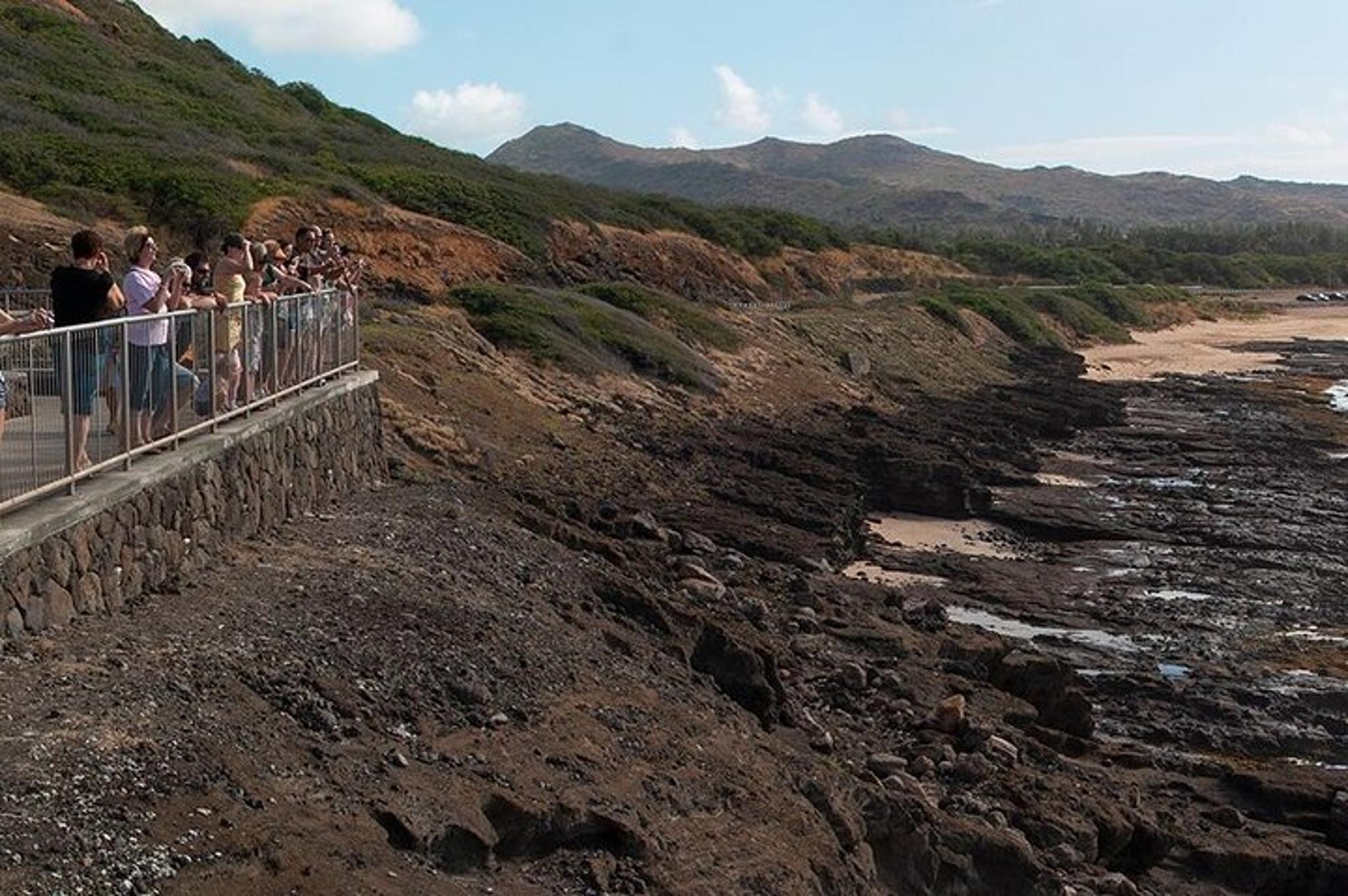 Oahu Circle Island Tour - Image 5