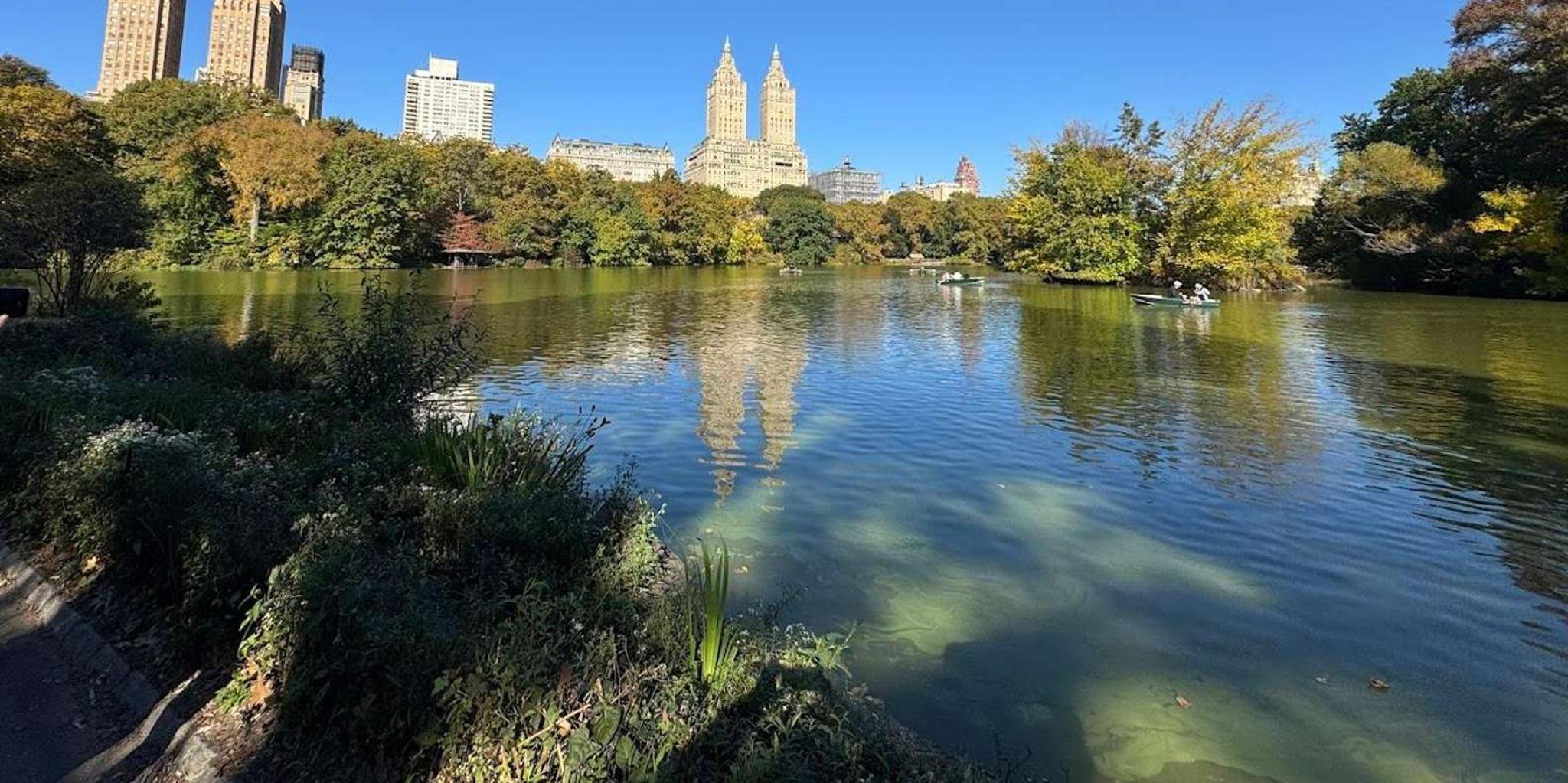New York City Central Park Pedicab Tour - Image 4