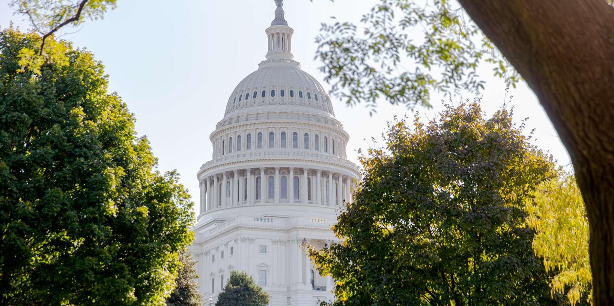 Washington DC Bus Tour with Capitol and Archives Access - Image 1