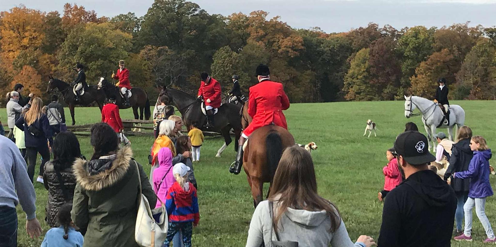 Washington DC Mount Vernon Half-Day Tour - Image 4