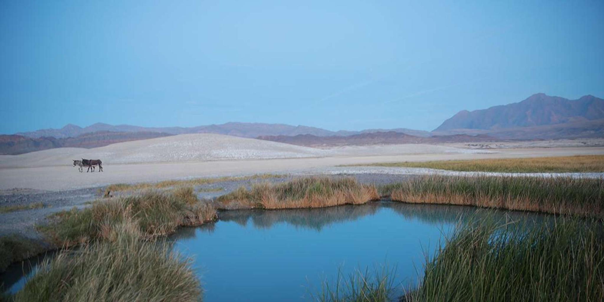 Las Vegas Hot Springs Adventure near Death Valley - Image 6