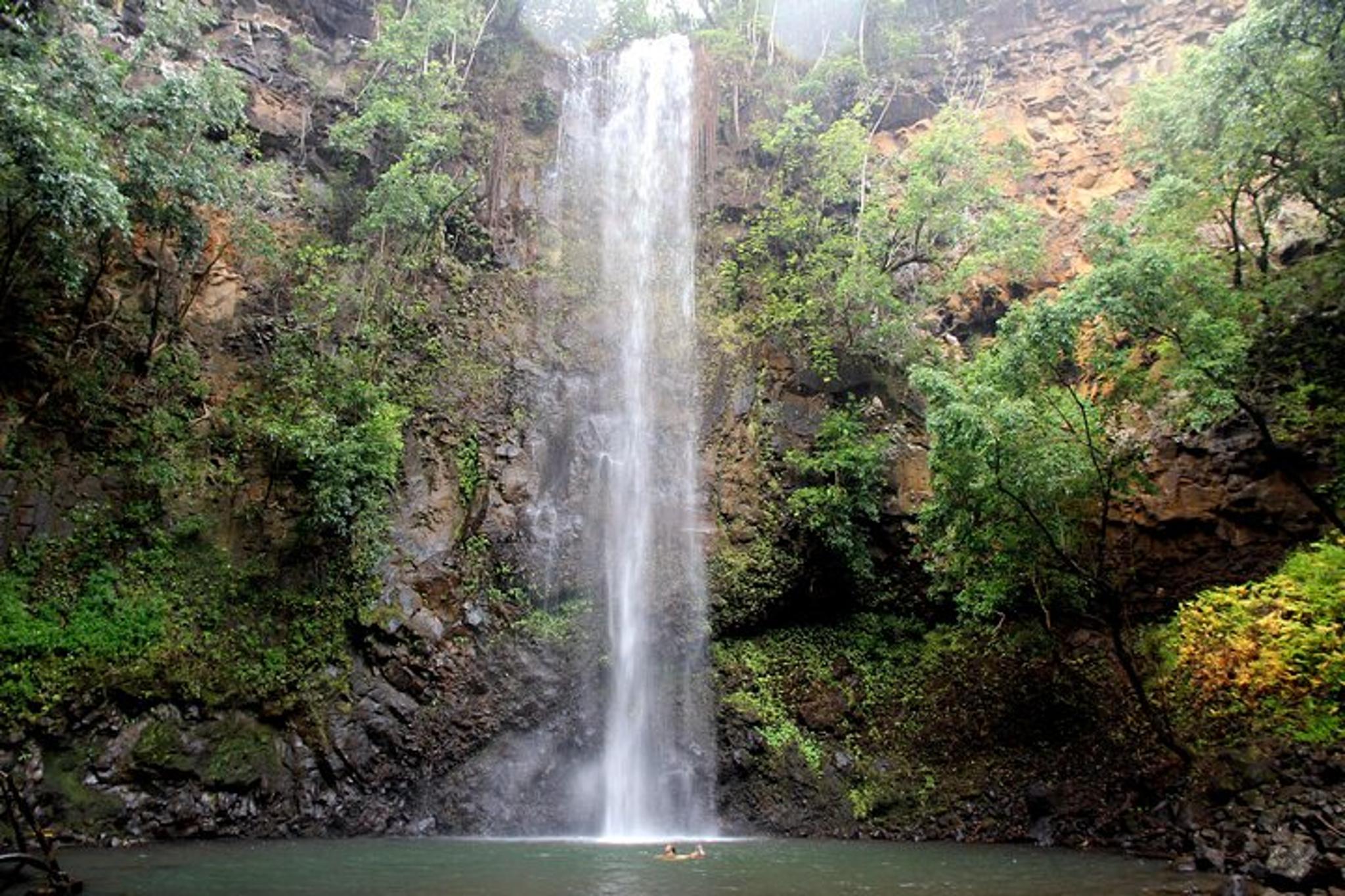 Kauai Secret Falls Kayak and Hike - Image 4