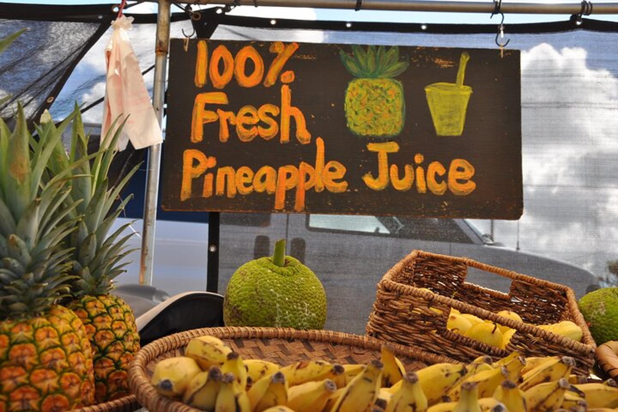 O'ahu Circle Island Tour for Couples - Image 5