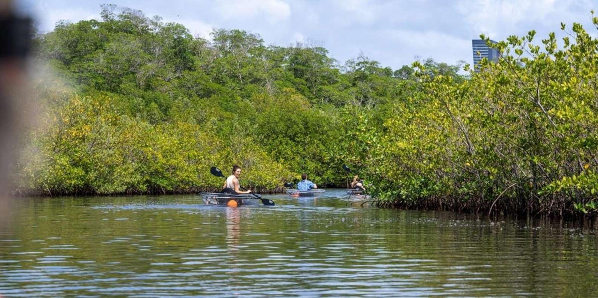 Miami Clear Kayak Eco Tour - Image 6