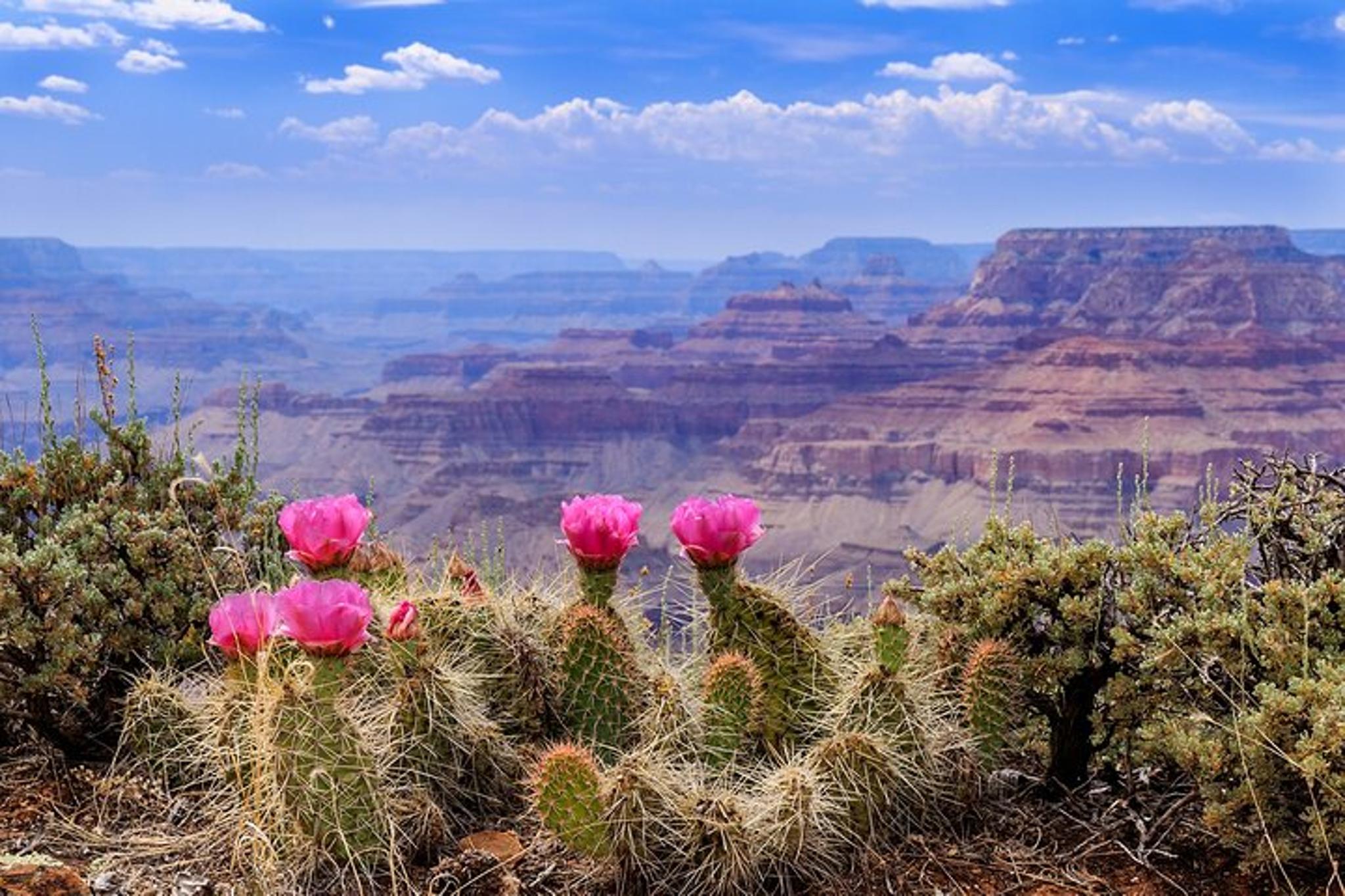 Las Vegas Grand Canyon and National Parks 3-Day Tour - Image 5