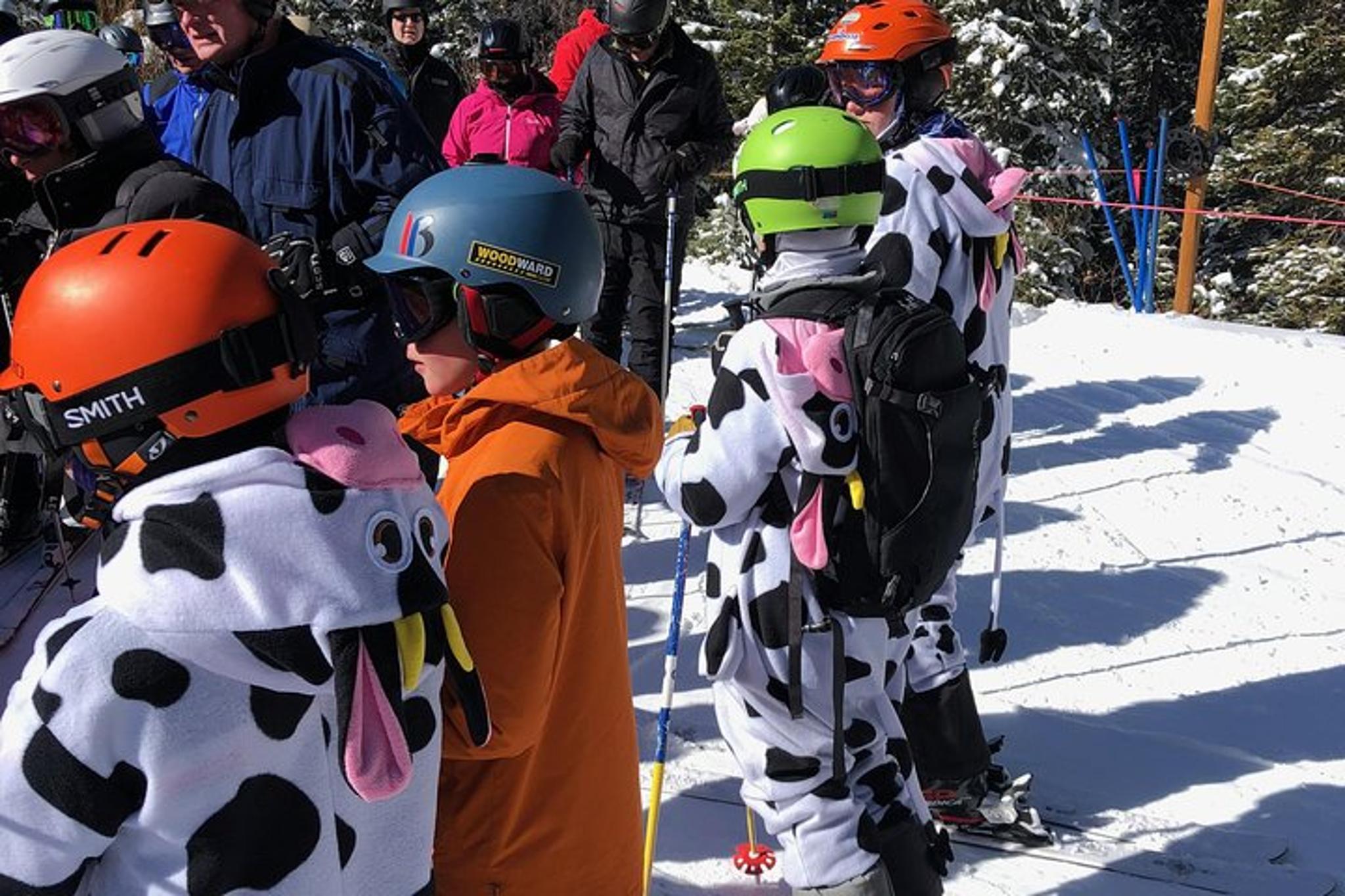 Colorado Ski and Snow Adventure with Private Transport - Image 3