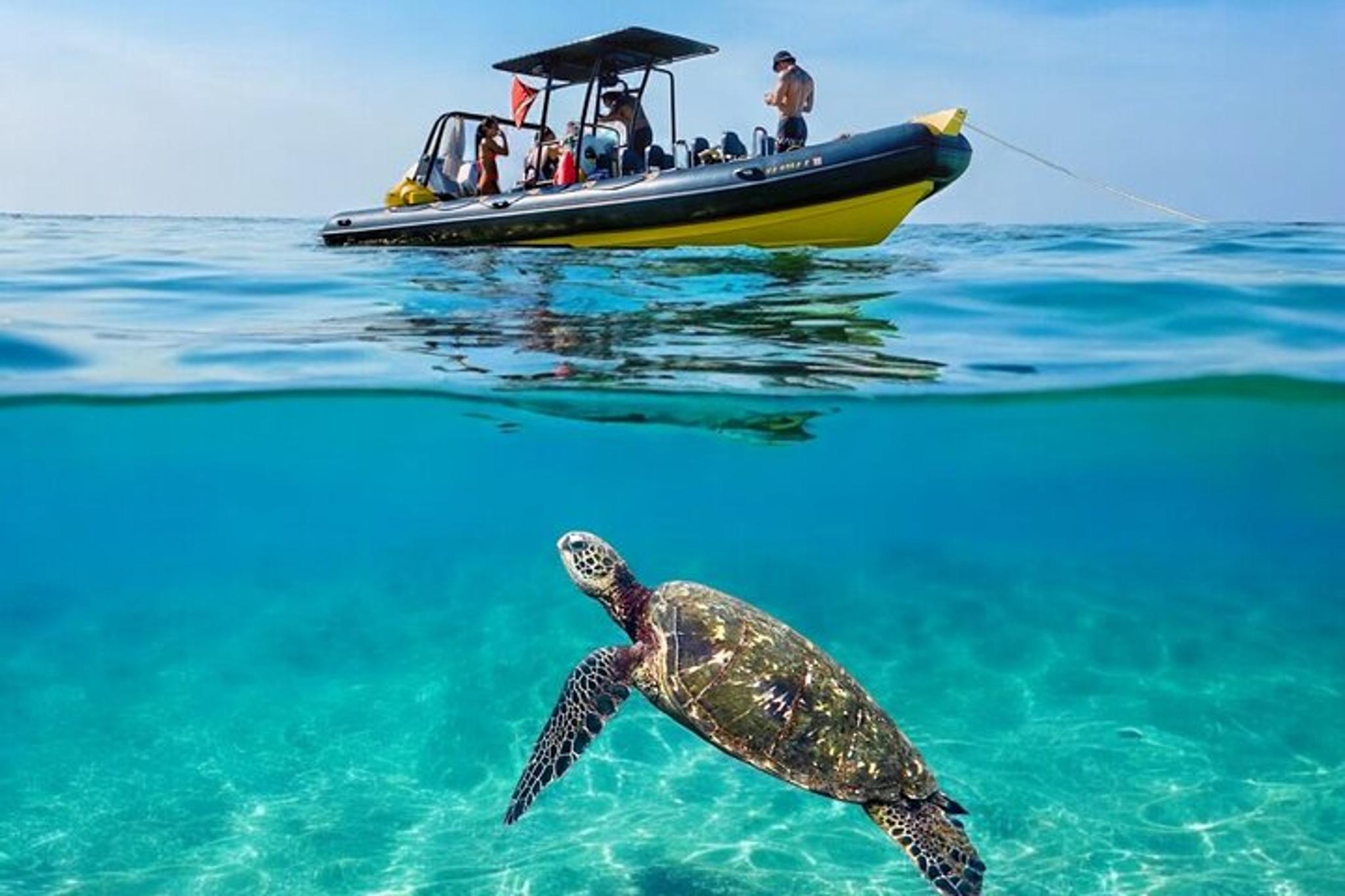 Waikiki Turtle Canyon Snorkel Tour