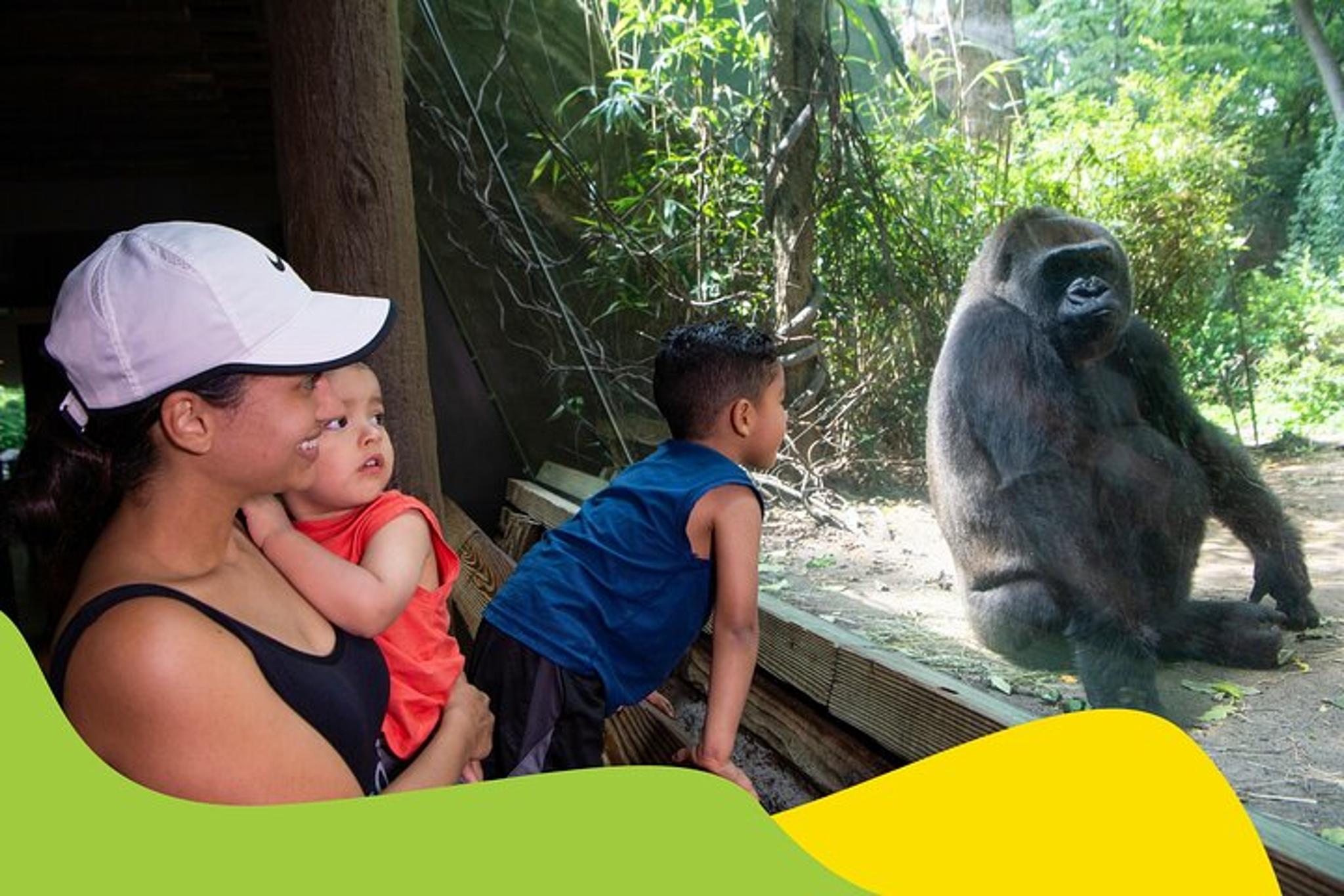 Bronx Zoo Admission Ticket - Image 2