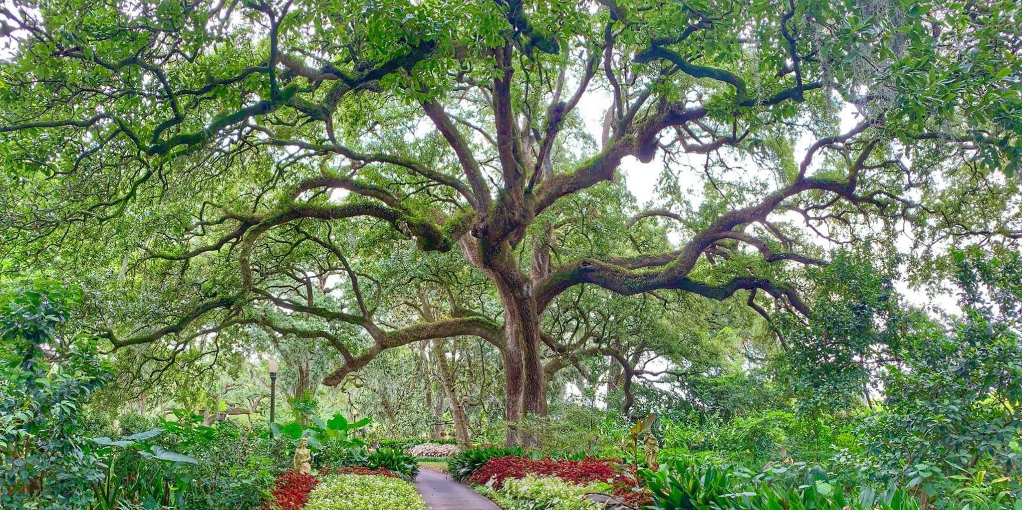 New Orleans Houmas House Plantation Tour - Image 5