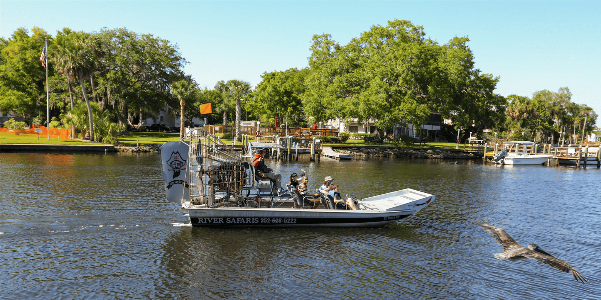 Homosassa Airboat Ride and Dolphin Watching - Image 5