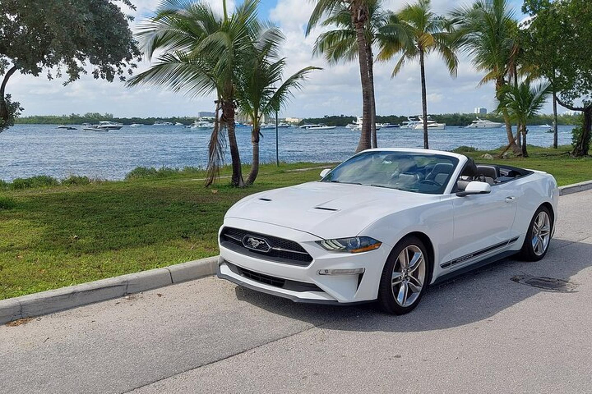 Miami Convertible Mustang Tour - Image 1
