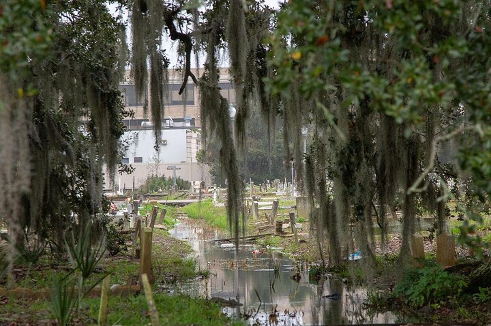 New Orleans Darkside Tour: Spirits, Vampires, and Voodoo 2 hr - Image 4
