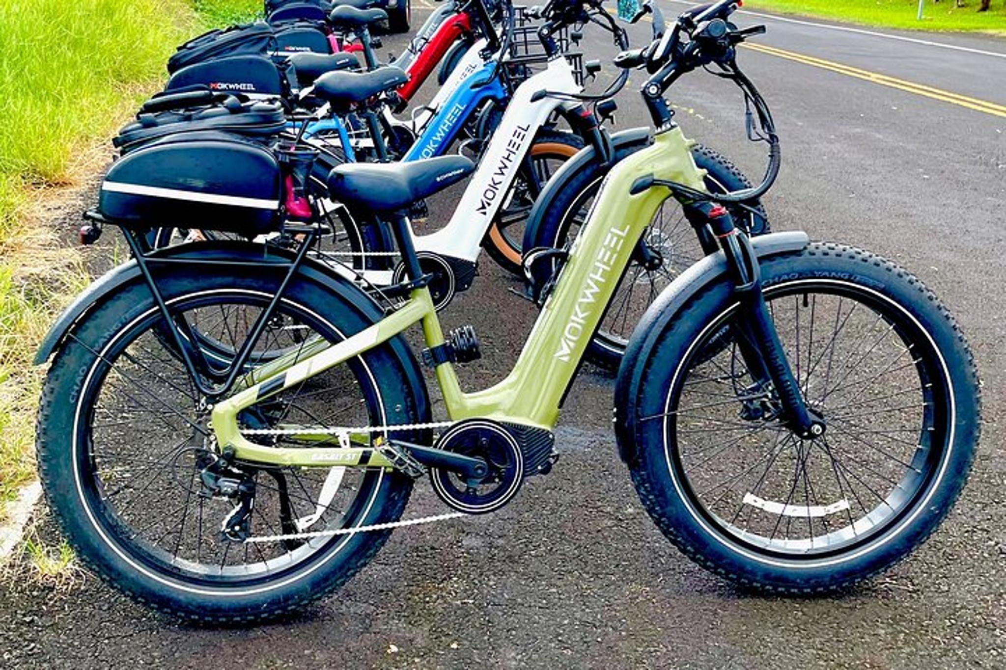 Hilo E-Bike Tour Volcano and Waterfalls - Image 4