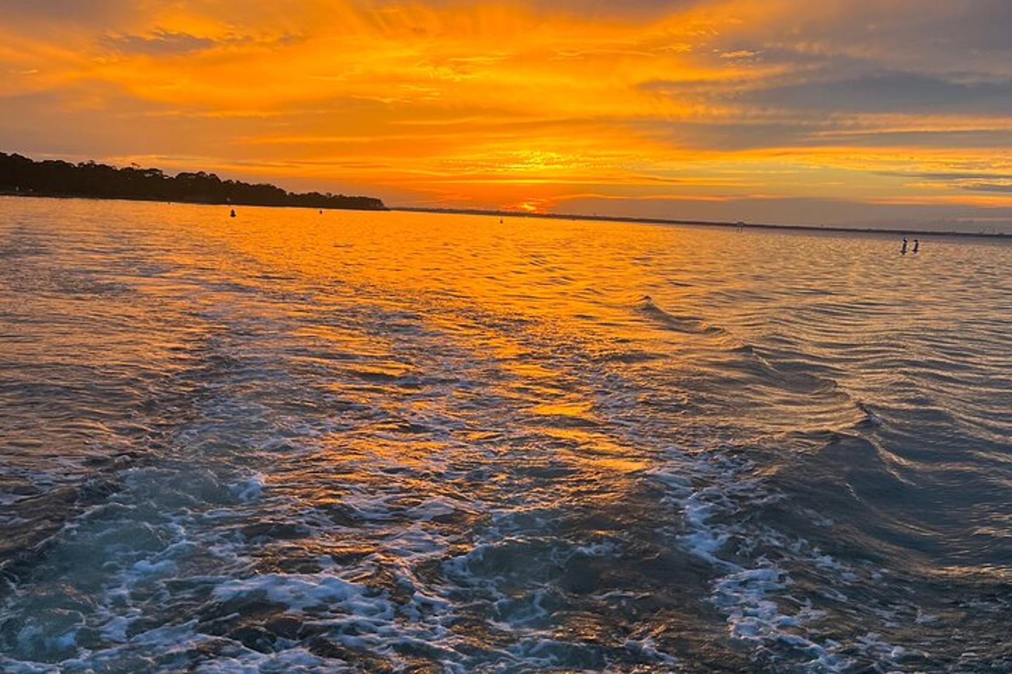 Destin Dolphin Cruise at Sunset 2 hr - Image 2