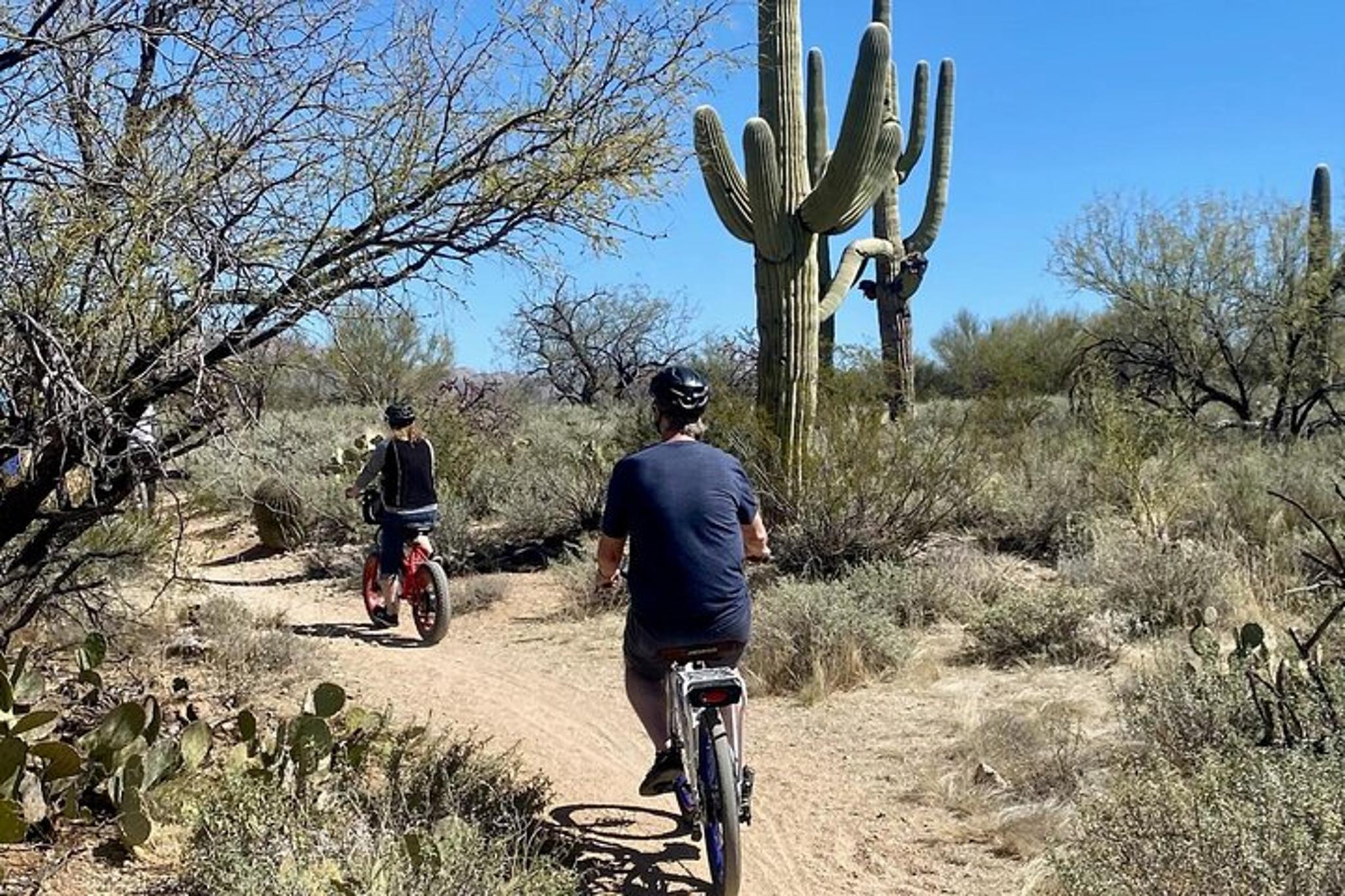 Tucson E-Bike Tour in Saguaro National Park - Image 5