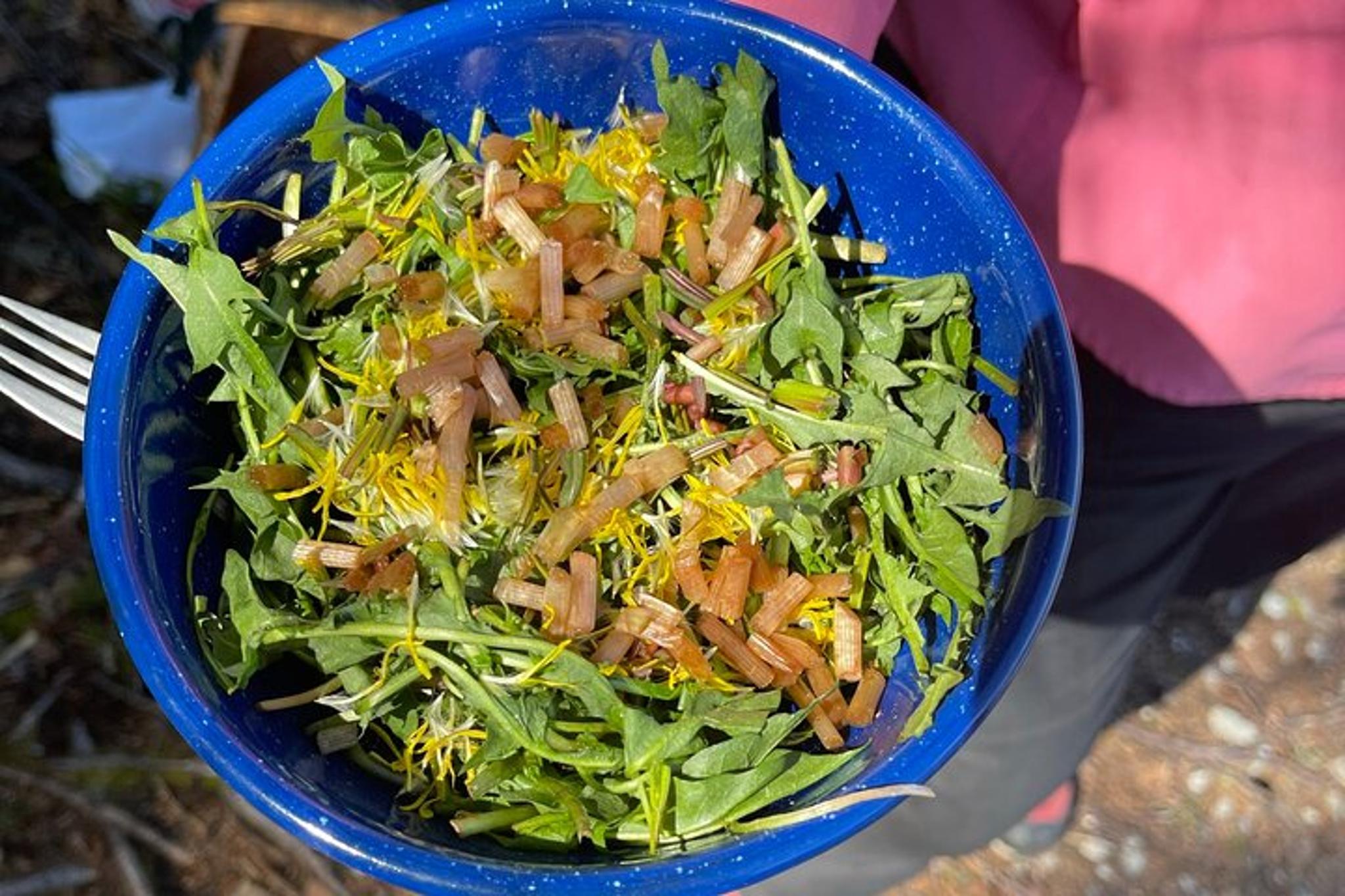 Anchorage Foraging and Cooking Tour - Image 5