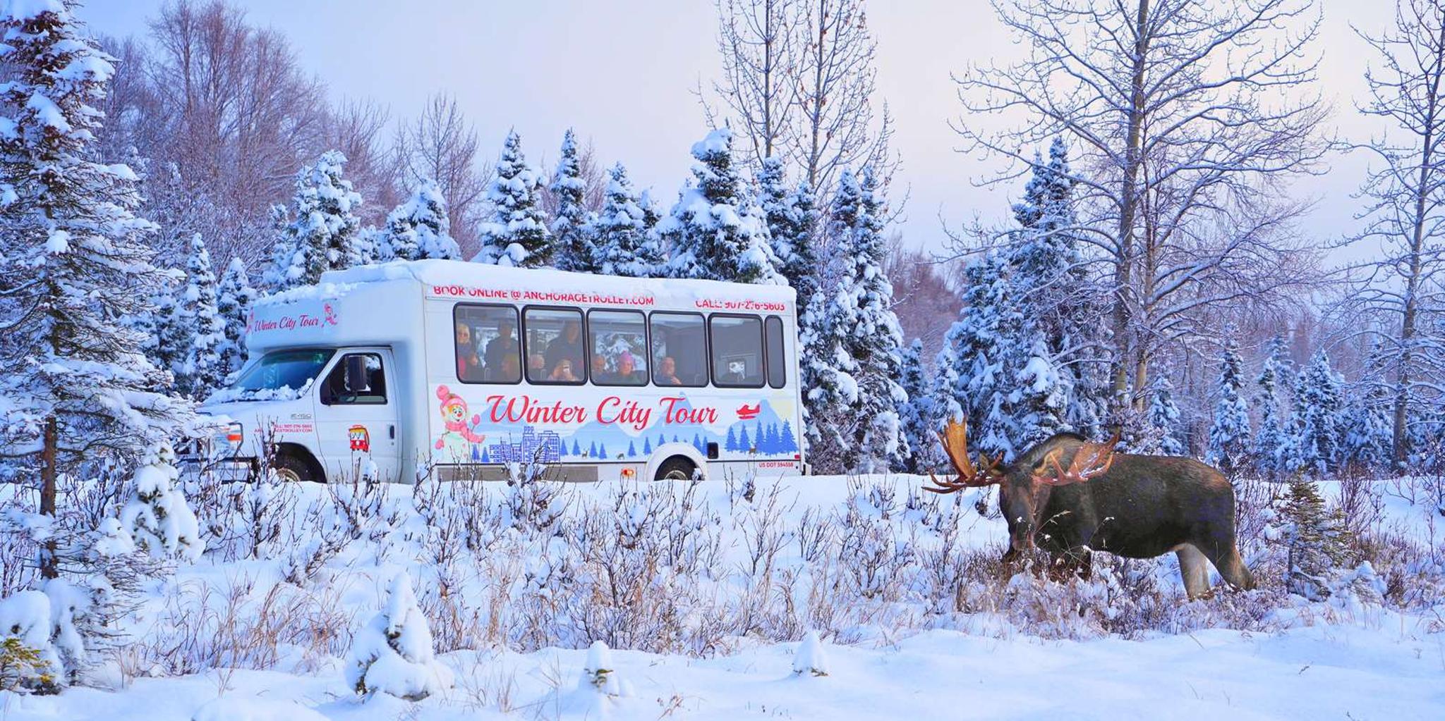 Anchorage City Tour with Wildlife and Samples