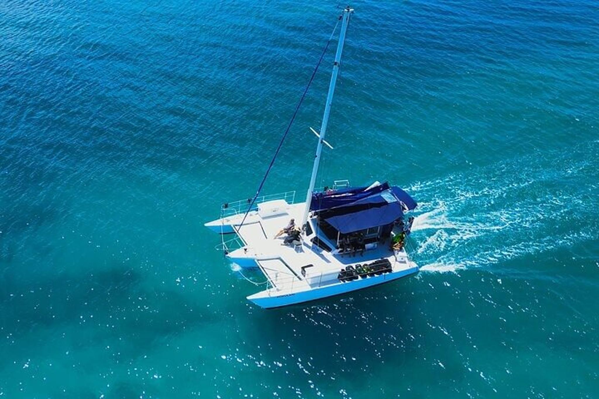 Honolulu Whale Watching Tour - Image 6