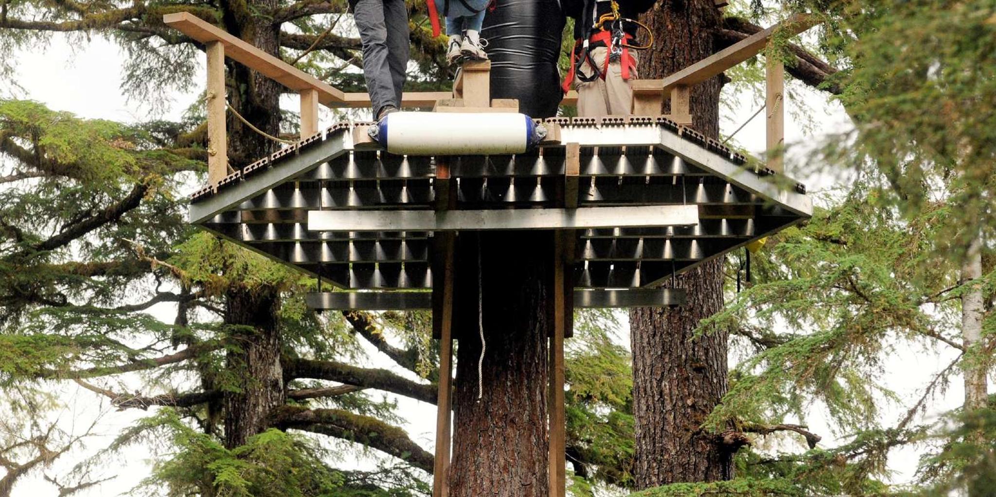 Ketchikan Rainforest Canopy Zipline Adventure