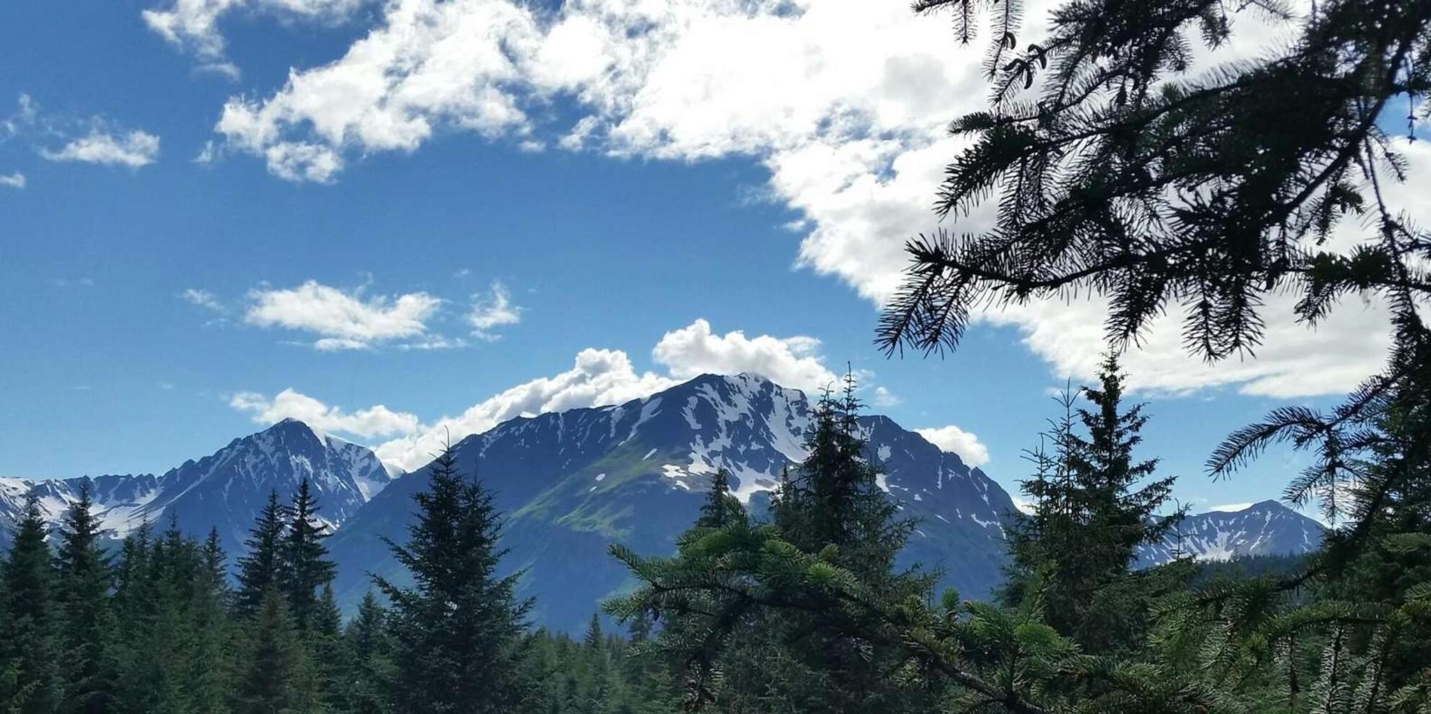 Seward Canopy Zipline Adventure - Image 2