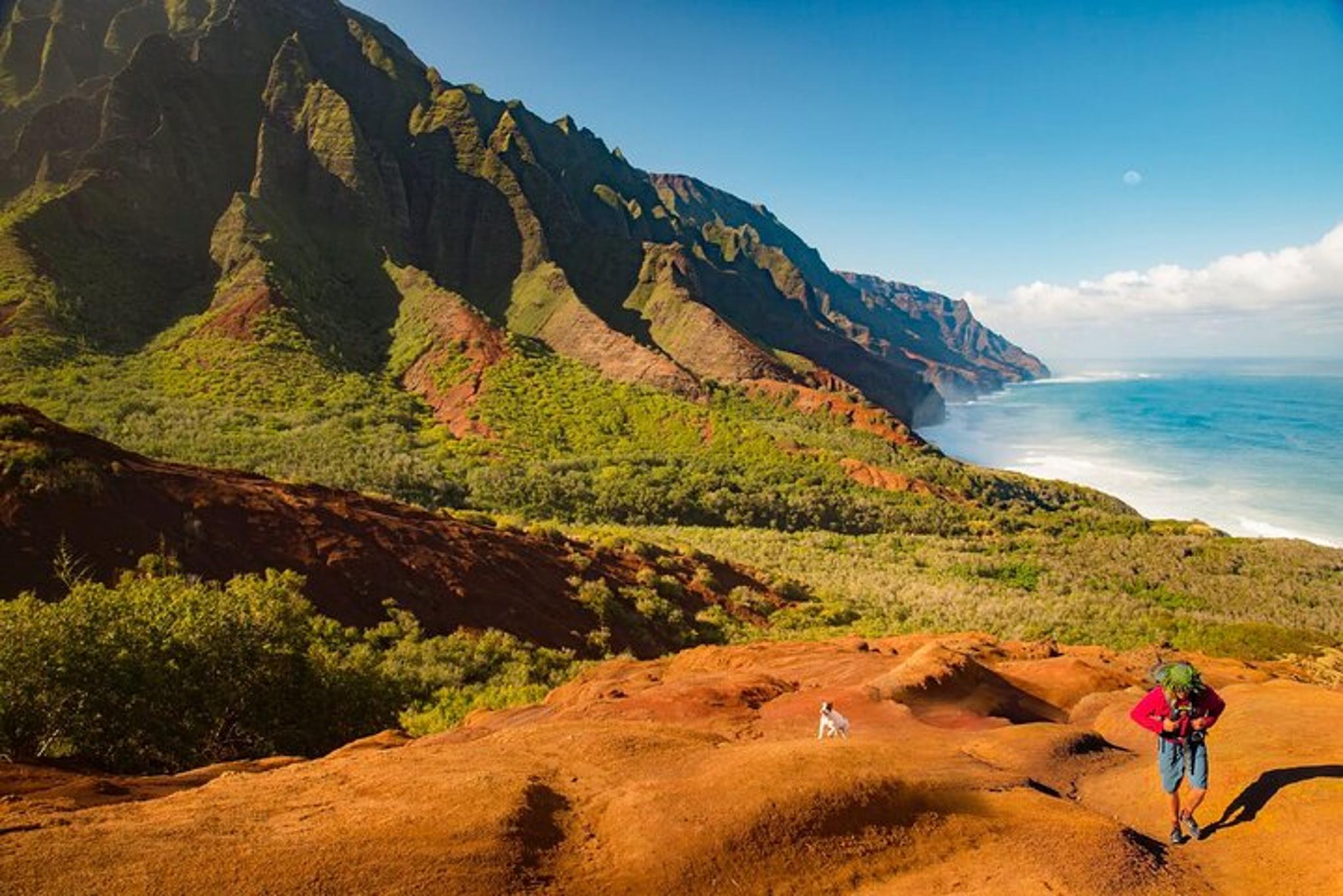 Kauai Waimea Canyon Private Tour - Image 6