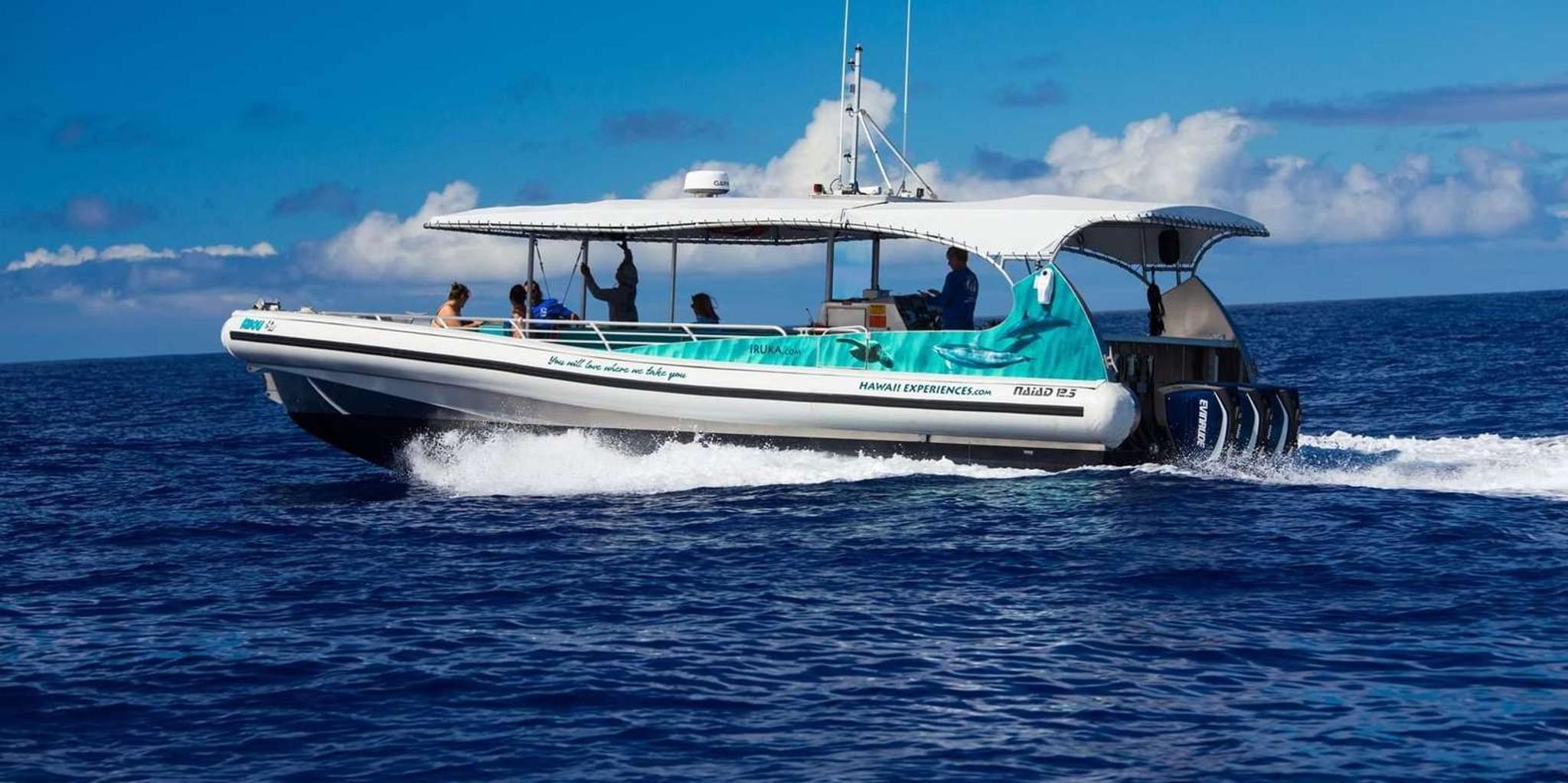 Kona Dolphin Watch Snorkel and BBQ Tour