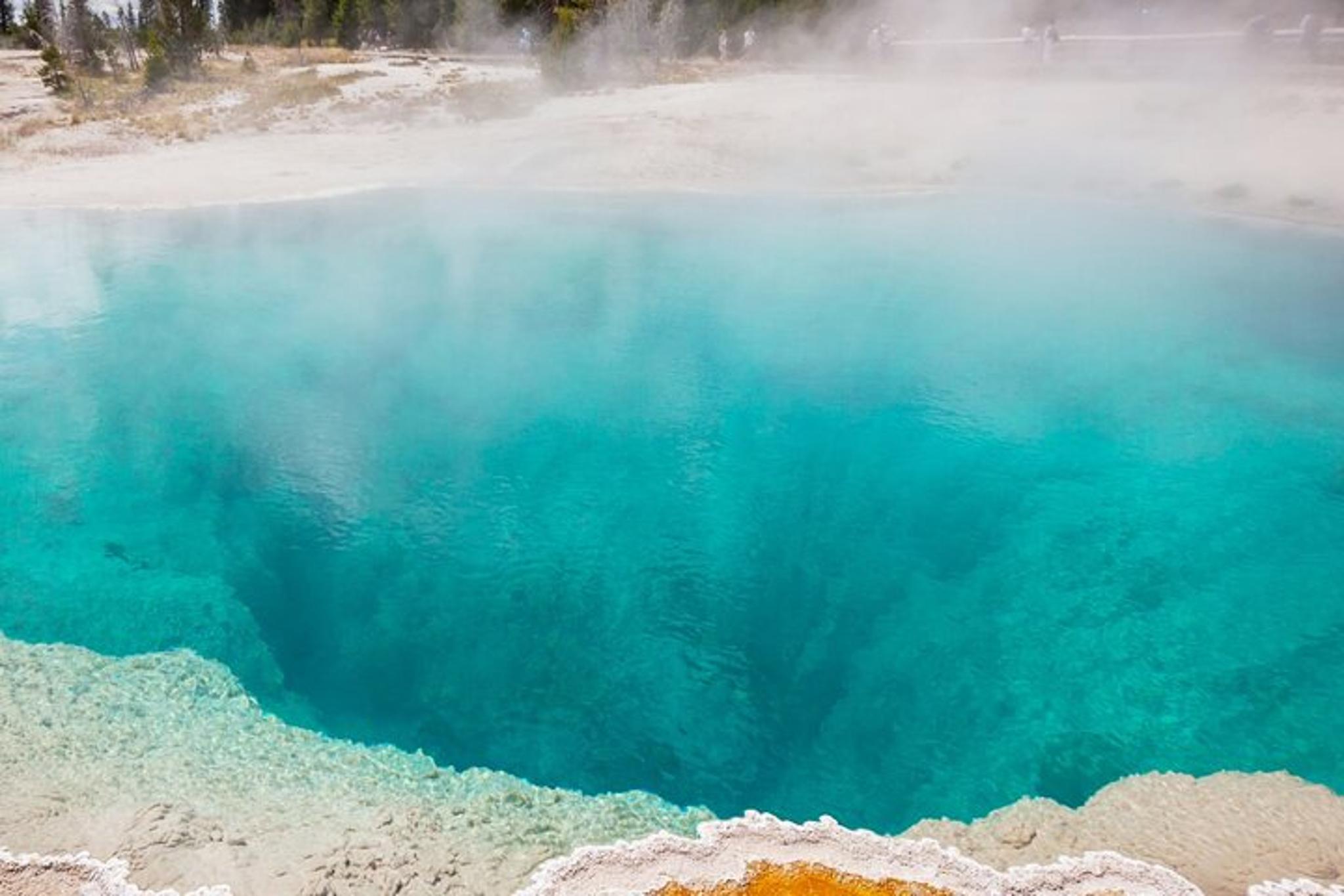 Yellowstone Hot Spring & Geyser Basin Tour - Image 6