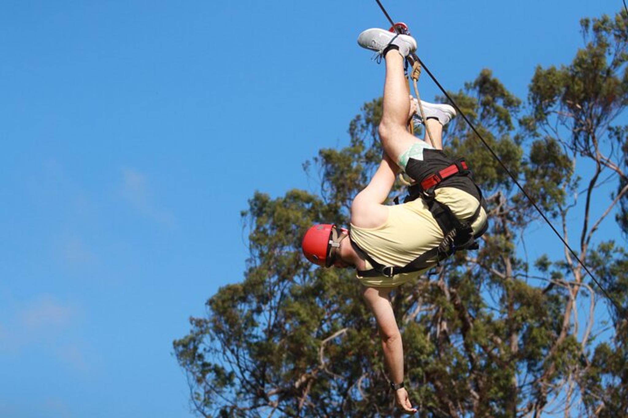 Maui Zipline Tour for Pride Of America Passengers - Image 2
