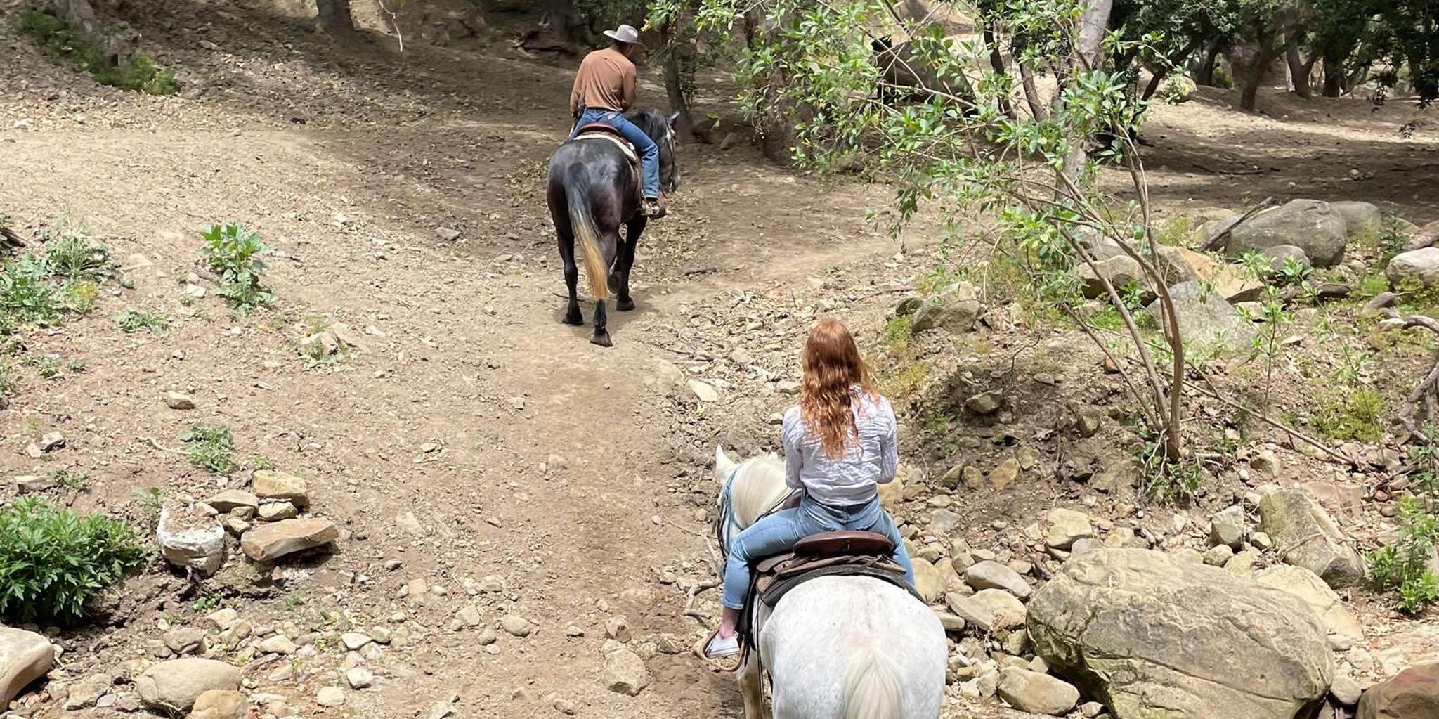 Santa Barbara Horseback Riding Tour - Image 4