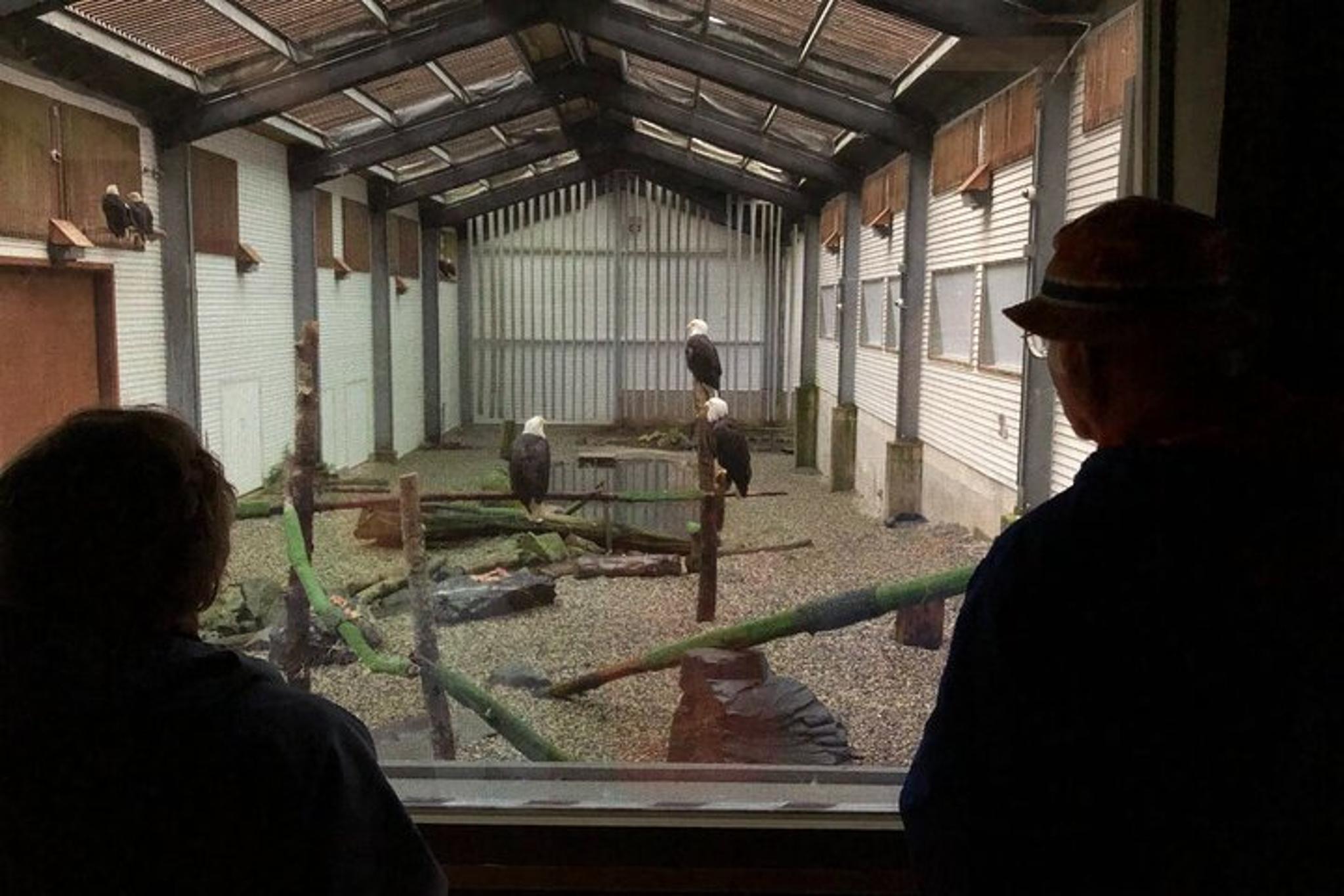 Sitka Land Tour: Top Attractions and Scenic Points - Image 5