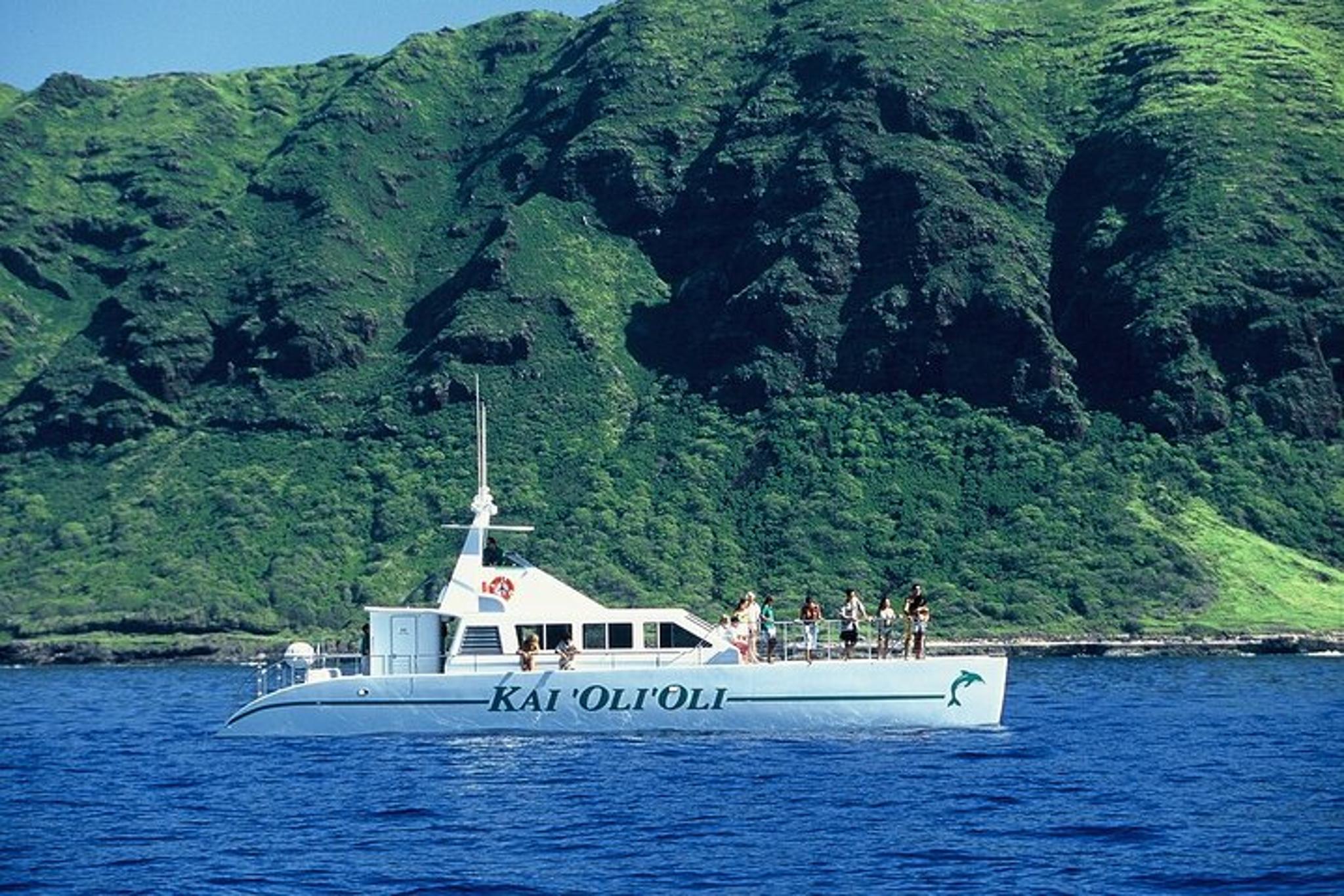 Oahu Zipline and Snorkel Adventure 5 hr - Image 6