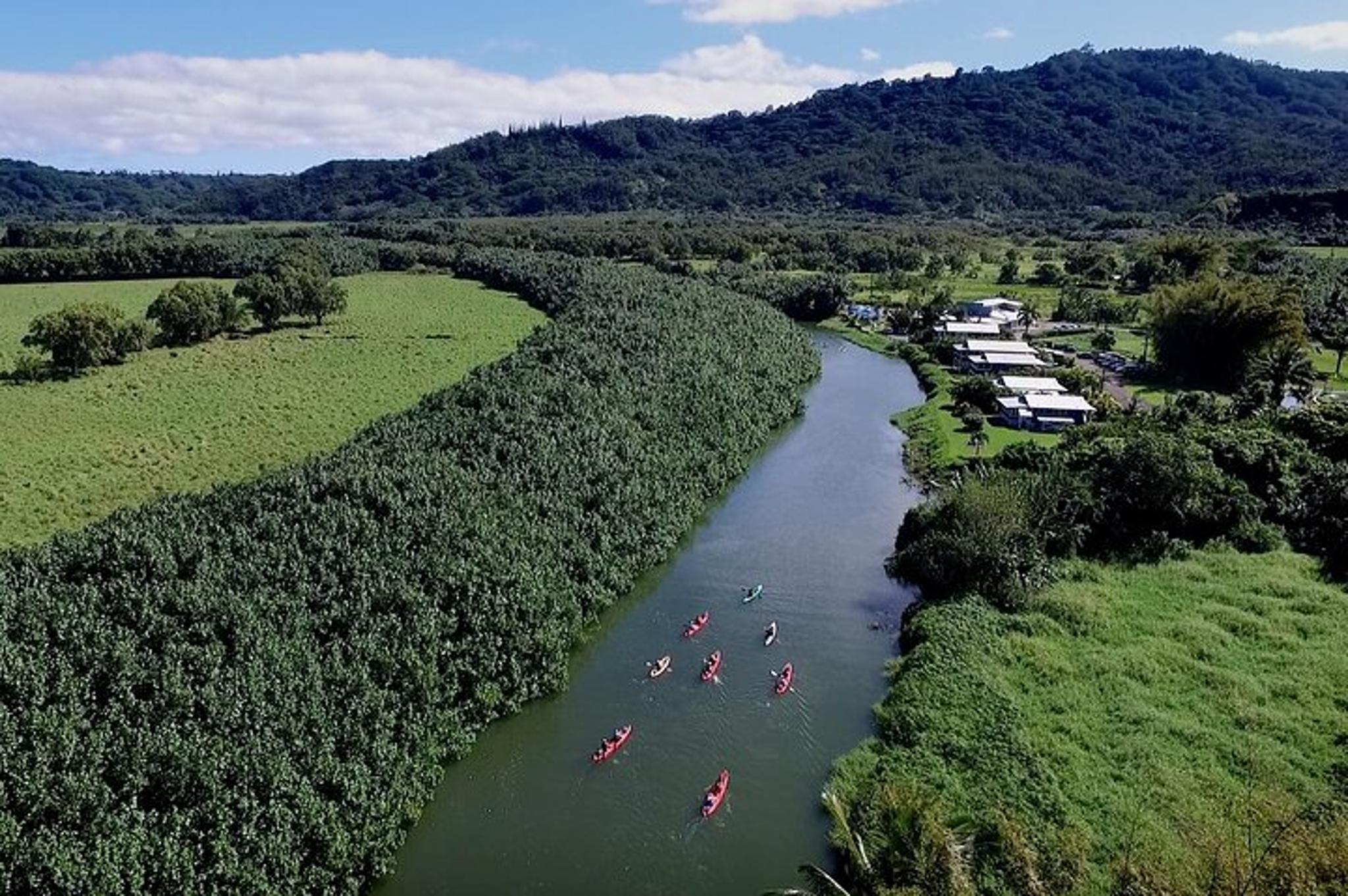 Kauai Kayak and Snorkel Adventure - Image 5