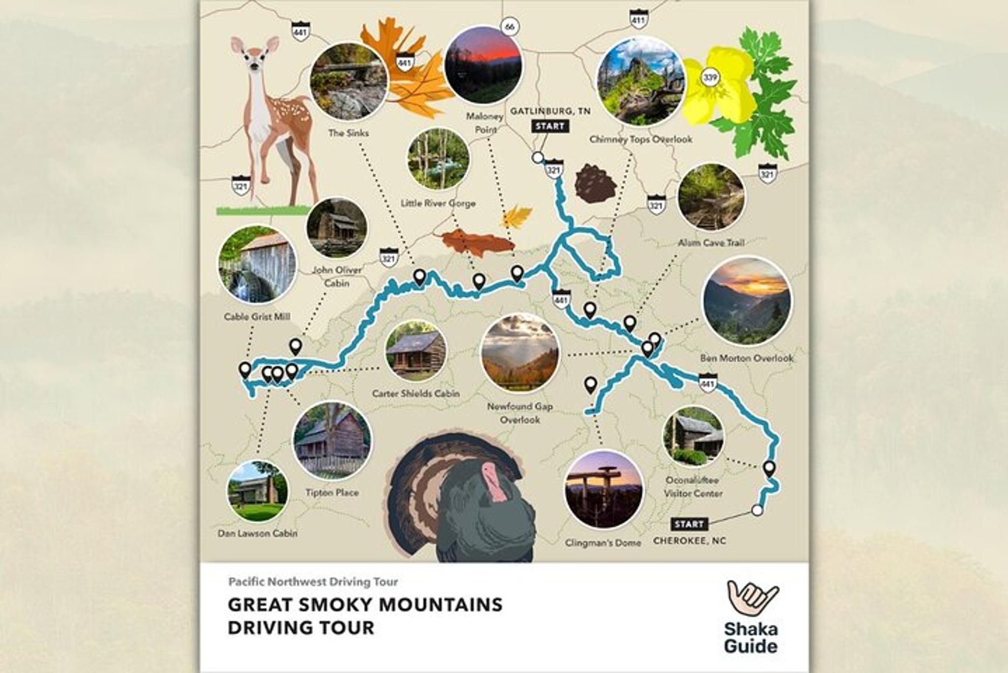 Great Smoky Mountains Self-Guided Audio Tour - Image 4