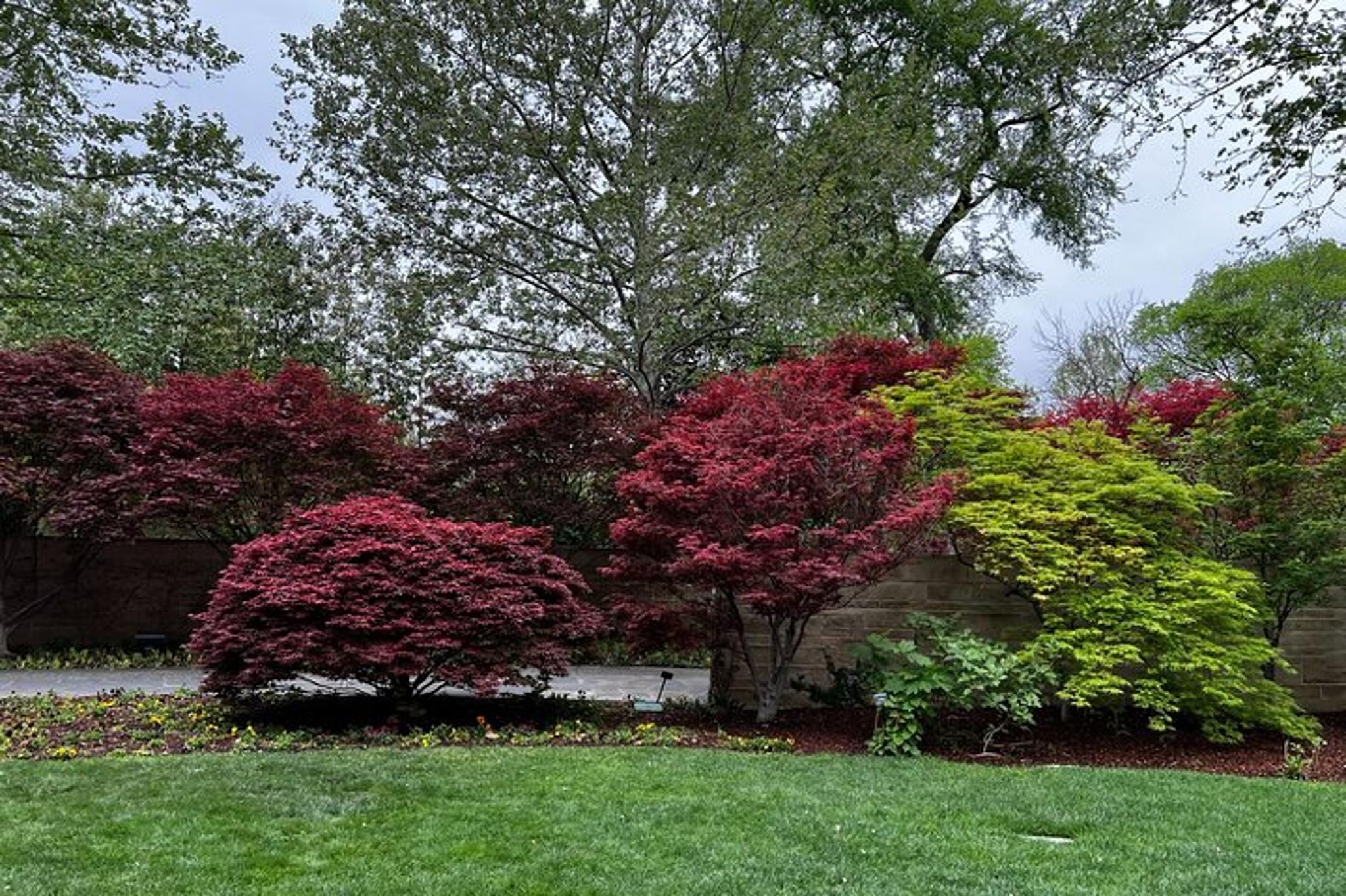 Dallas Arboretum and Botanical Gardens Tour - Image 5