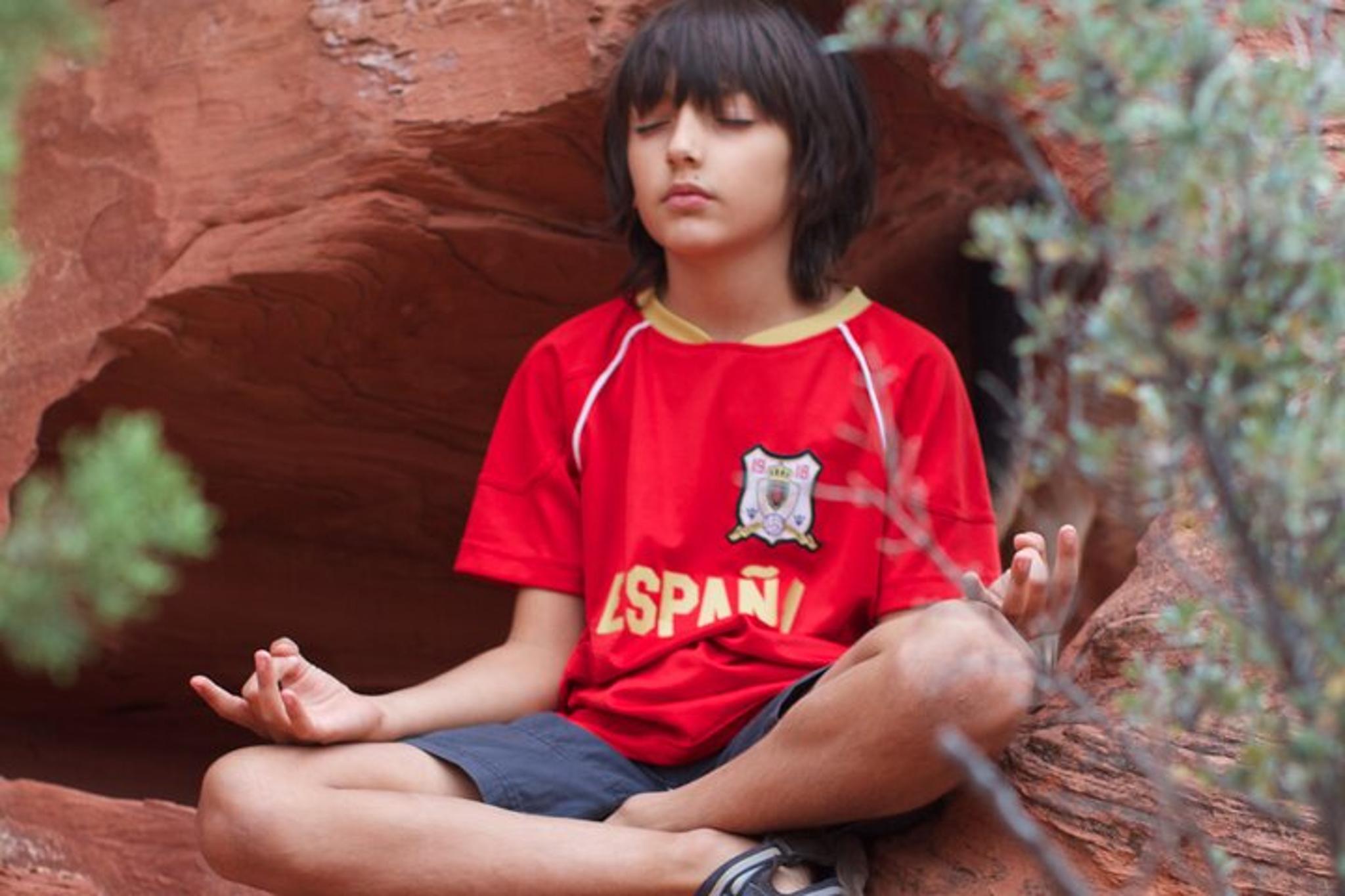 Tucson Forest Bathing and Meditation on Mt Lemmon - Image 5